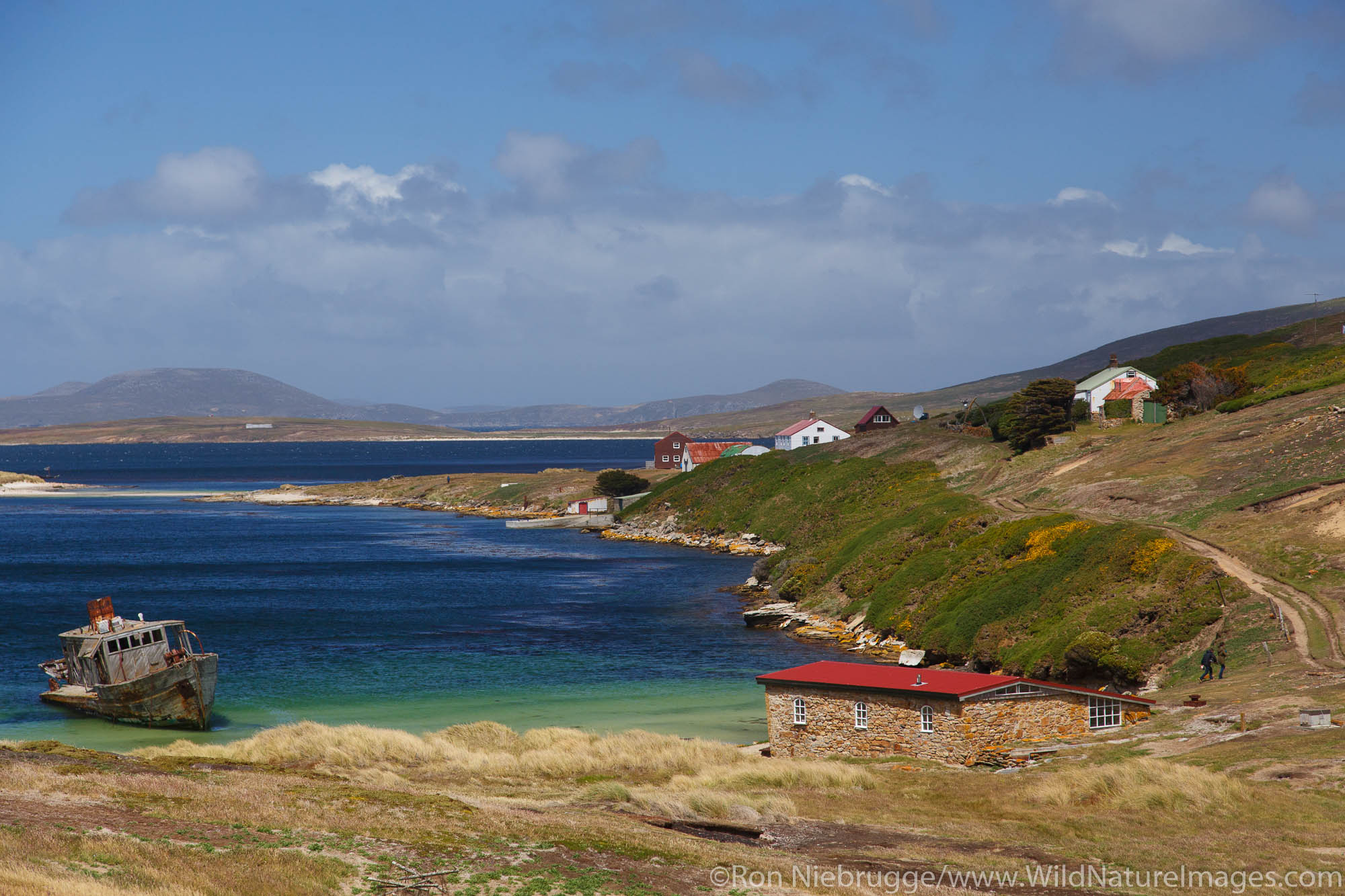 New Island Conservation Trust, New Island, Falkland Islands.