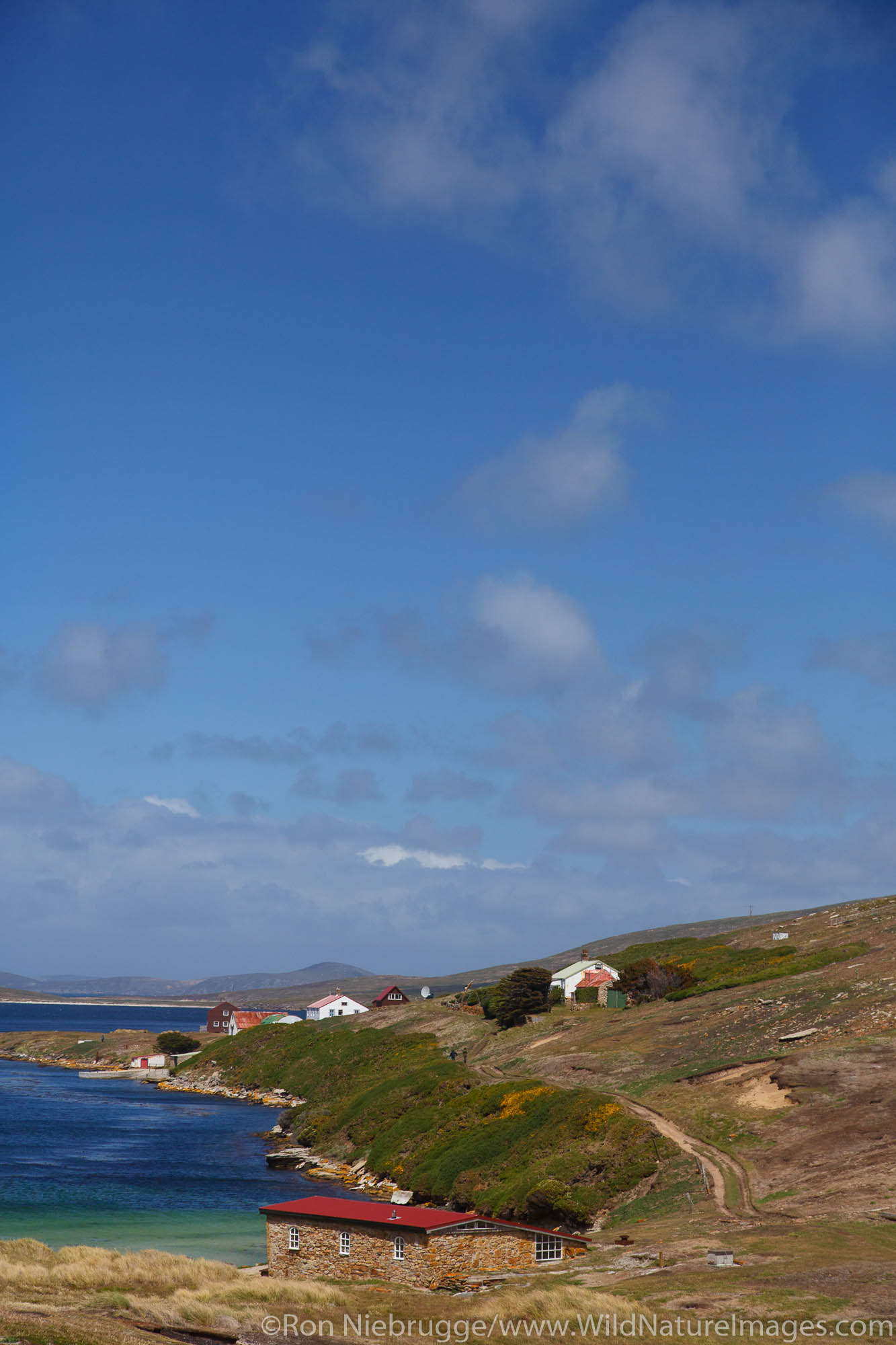 New Island Conservation Trust, New Island, Falkland Islands.