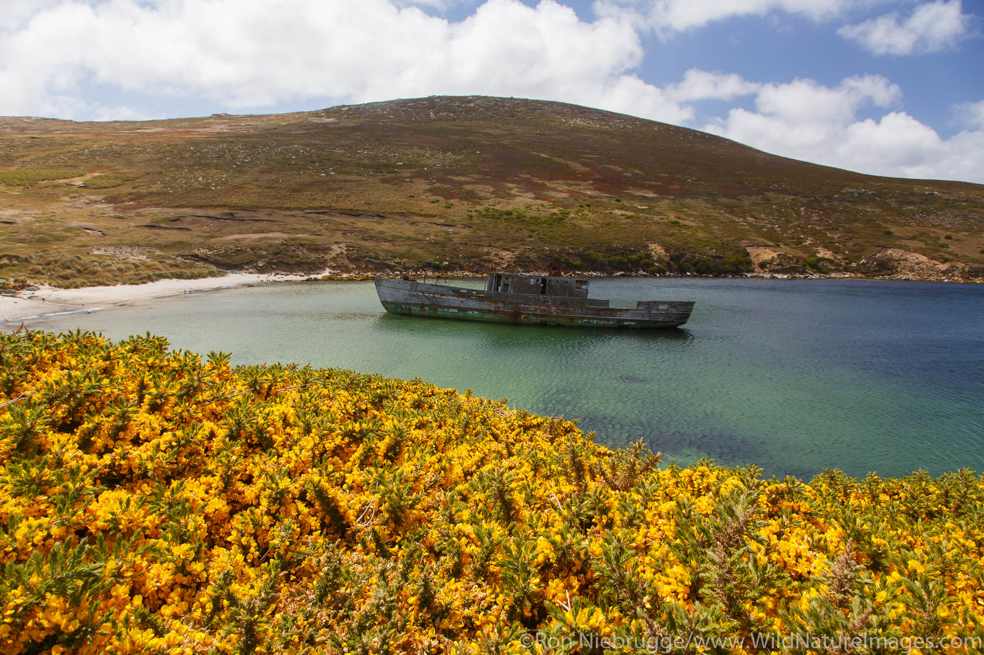 Shipwreck, New Island Conservation Trust, New Island, Falkland Islands.