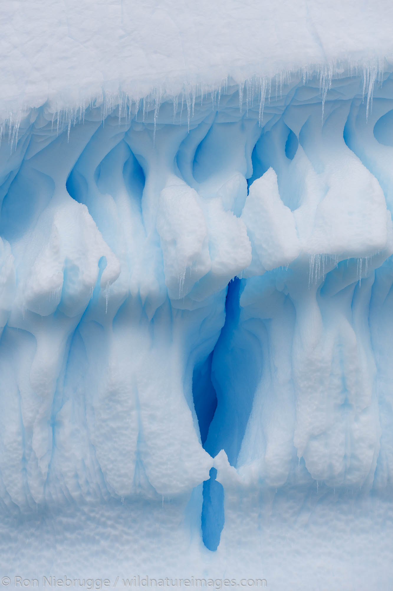 around Petermann Island, Antarctica.
