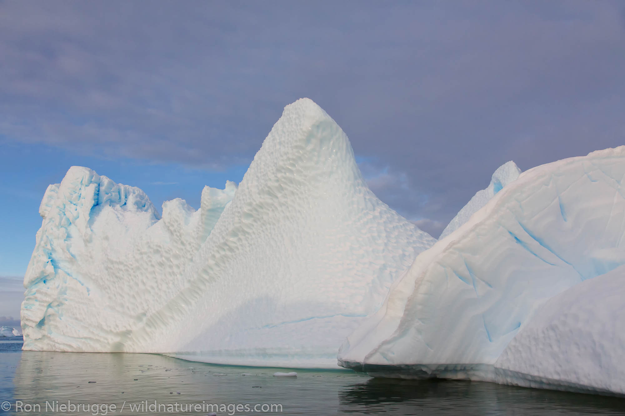 Iceberg graveyard near Petermann Island, Antarctica.