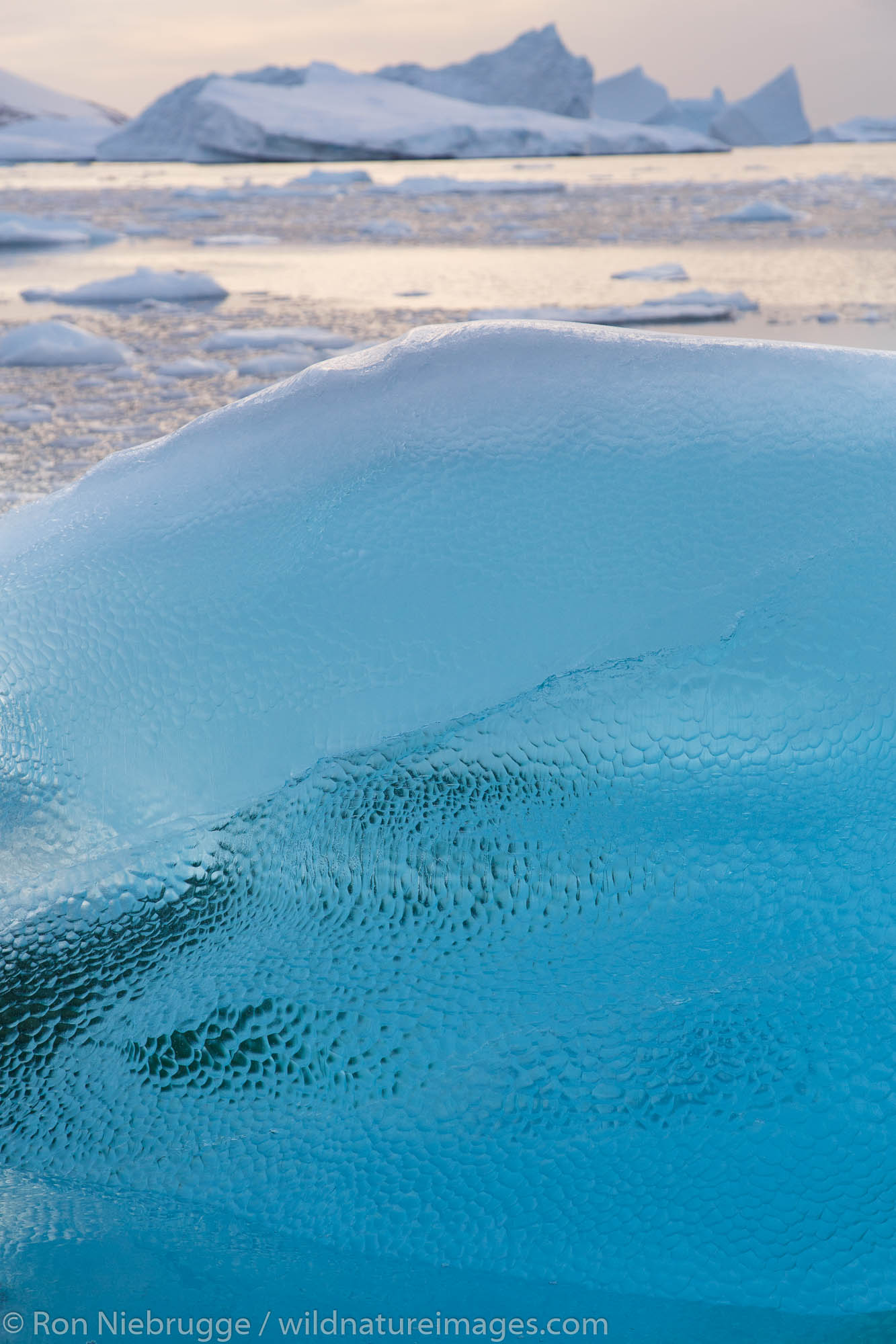 Iceberg graveyard near Petermann Island, Antarctica.