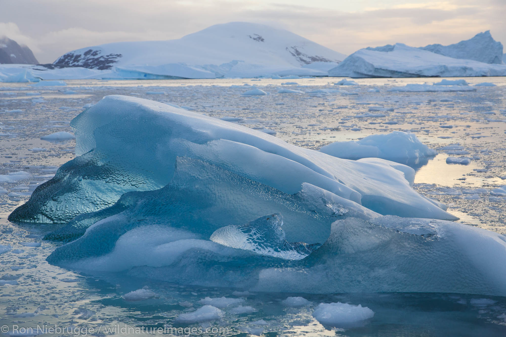 Iceberg graveyard near Petermann Island, Antarctica.