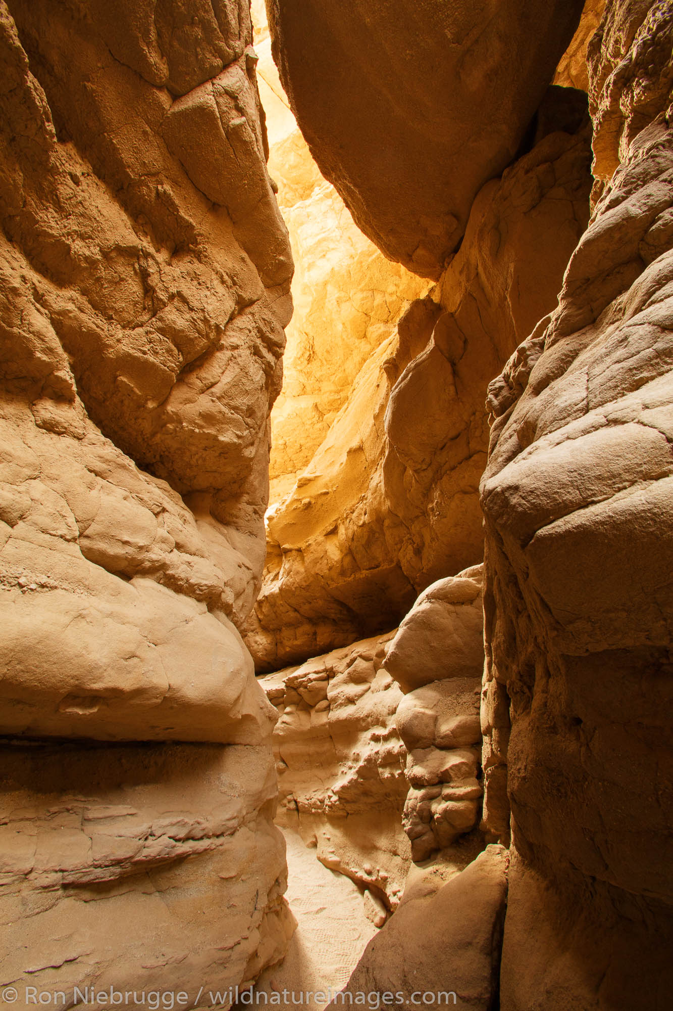 A slot canyon in Anza-Borrego Desert State Park, California.
