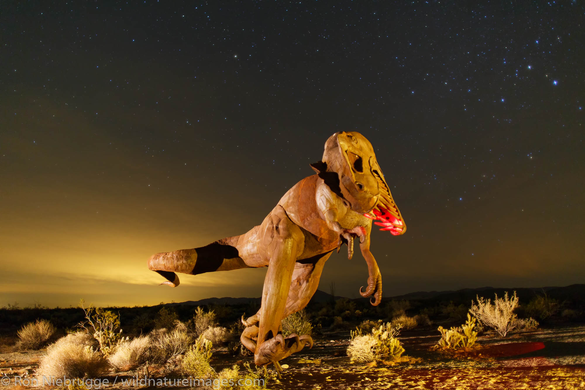 Metal sculpture at night, Borrego Springs, California.