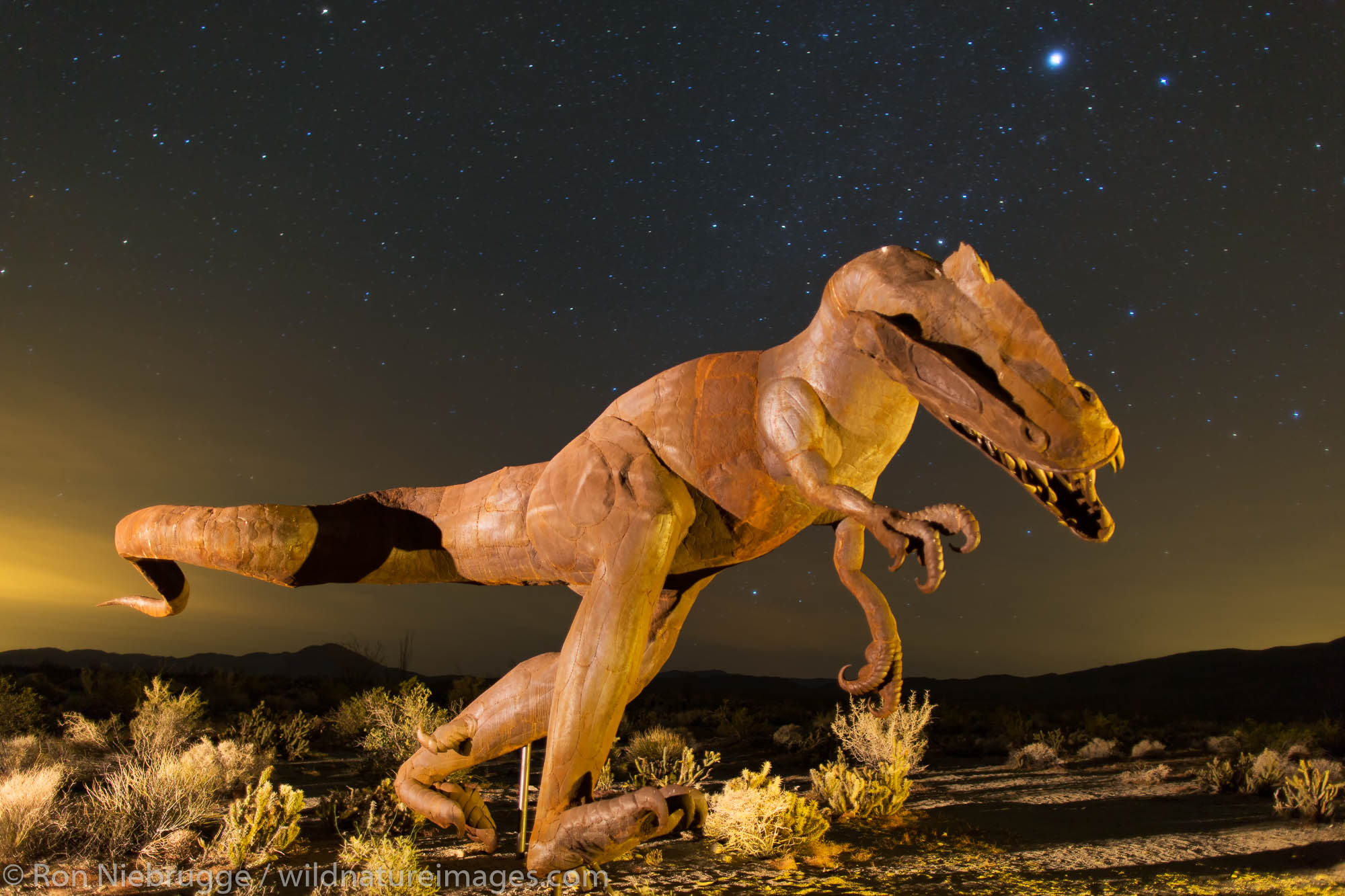 Metal sculpture Borrego Springs, California. Photos by Ron Niebrugge