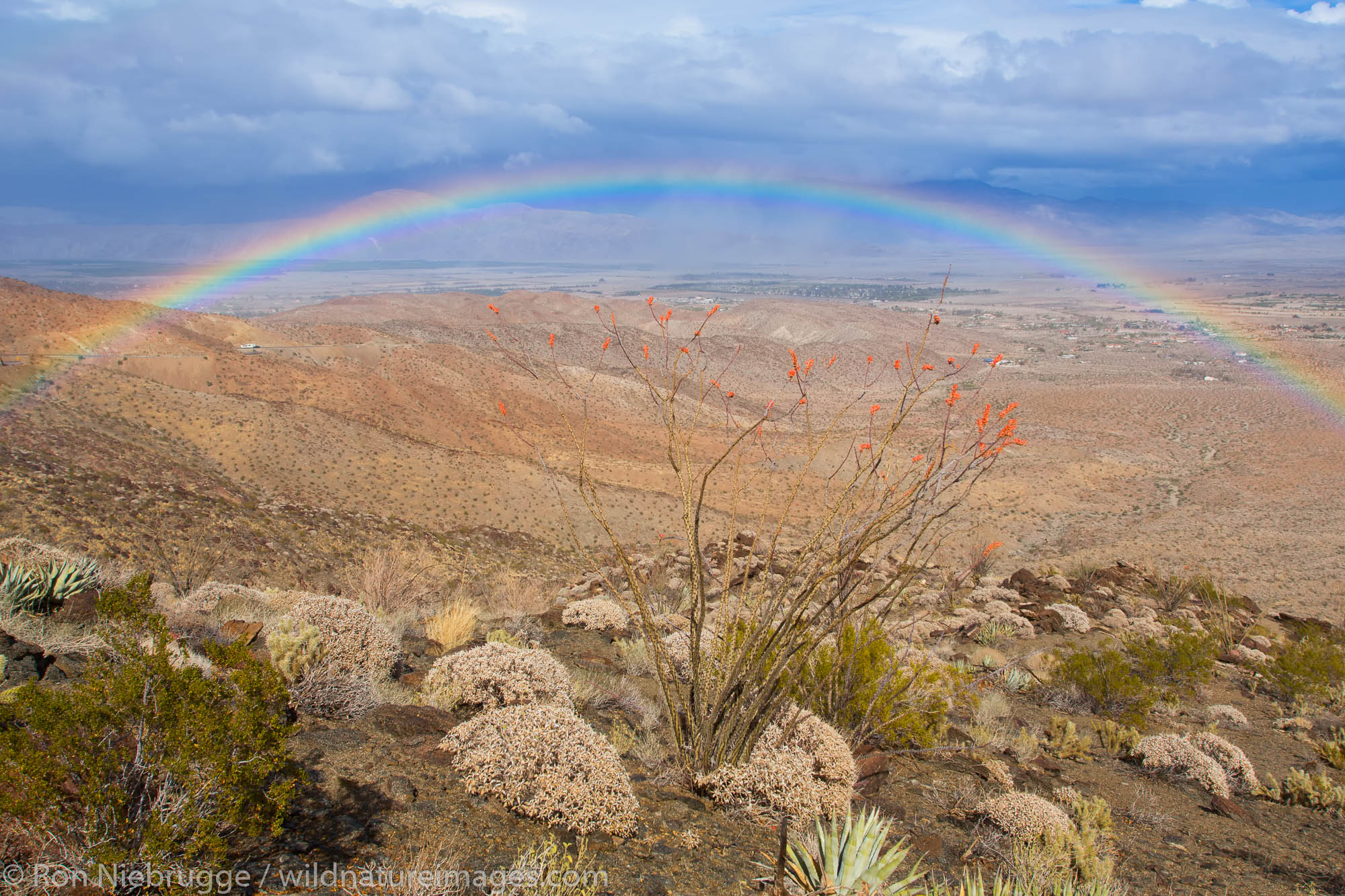 Rainbow over Anza-Borrego Desert State Park, California.