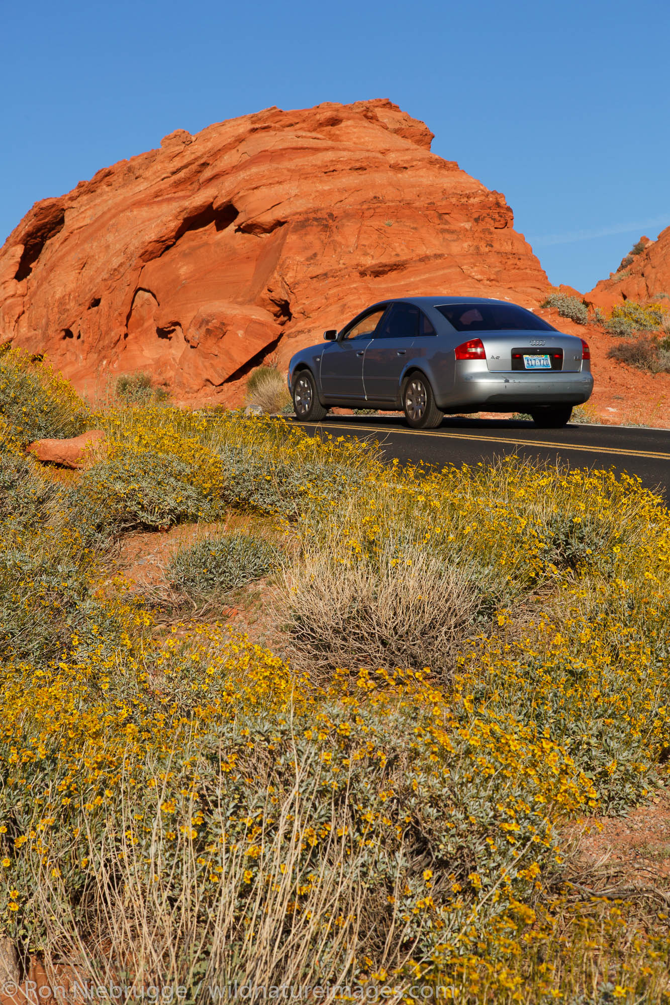 Road through Valley of Fire State Park, near Las Vegas, Nevada.