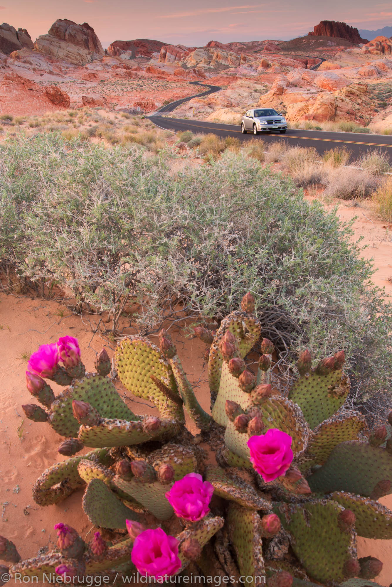 Road through Valley of Fire State Park, near Las Vegas, Nevada.