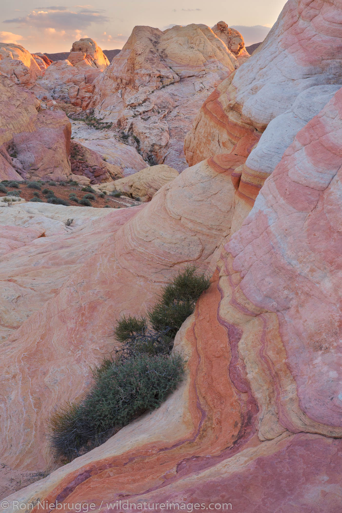 Colorful sandstone in Valley of Fire State Park, near Las Vegas, Nevada.