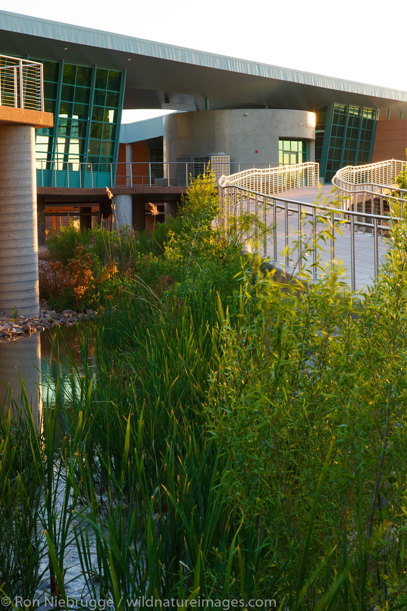 Clark County Wetlands Park Nature Preserve and Nature Center near Las Vegas, Nevada.