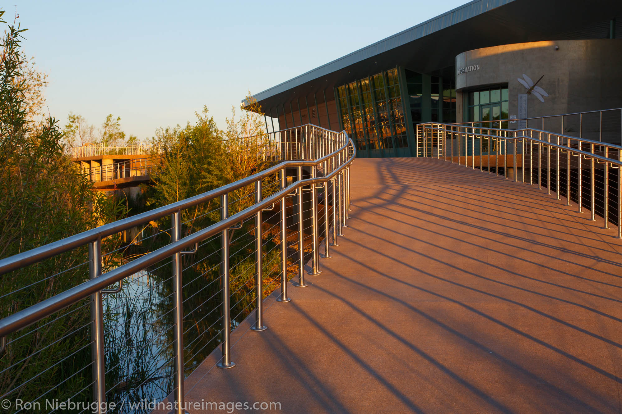 Clark County Wetlands Park Nature Preserve and Nature Center near Las Vegas, Nevada.