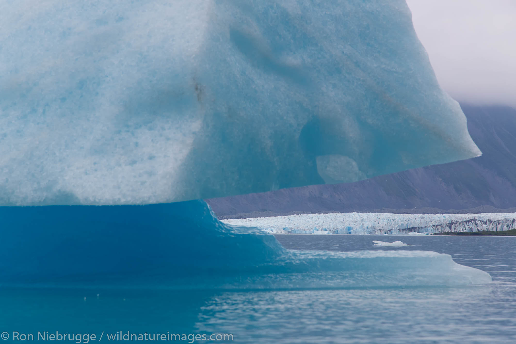 Icebergs in Bear Glacier Lagoon, Kenai Fjords National Park, near Seward, Alaska