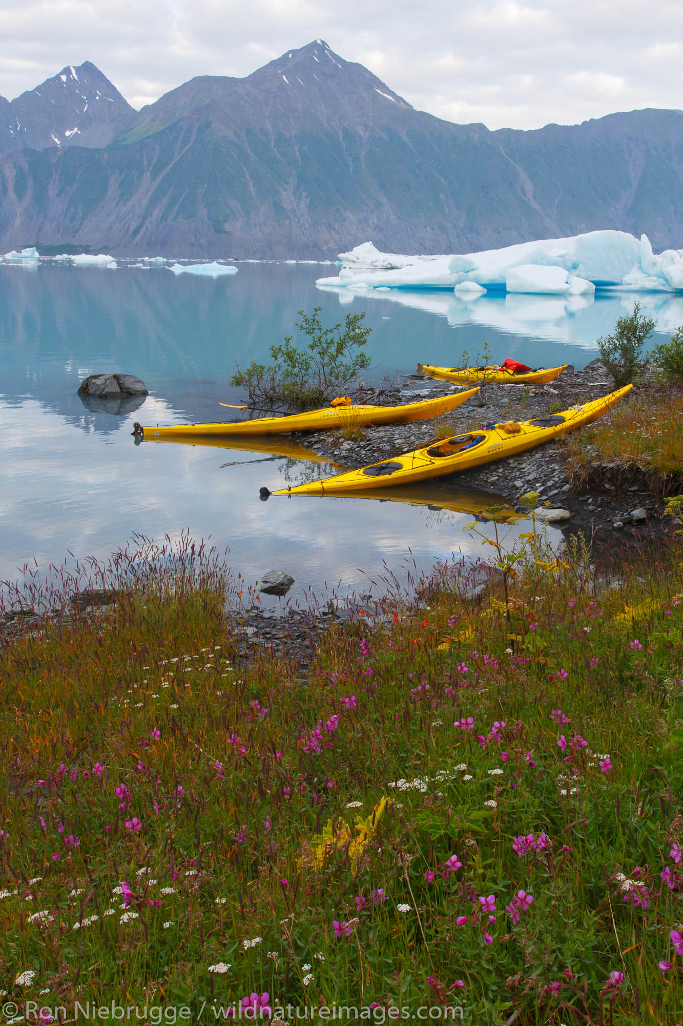 Kayaking in Bear Glacier Lagoon, Kenai Fjords National Park, near Seward, Alaska.  (model released)