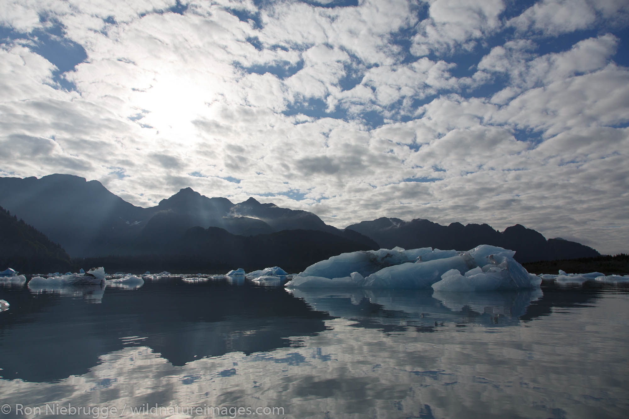 Bear Glacier Lagoon, Kenai Fjords National Park, near Seward, Alaska.