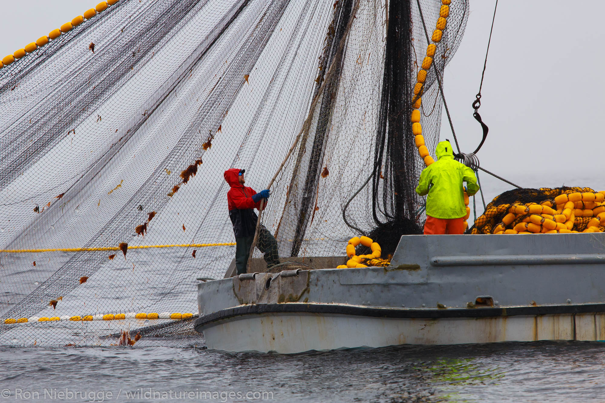 Commercial fishing boats salmon seining near Ketchikan, Alaska.