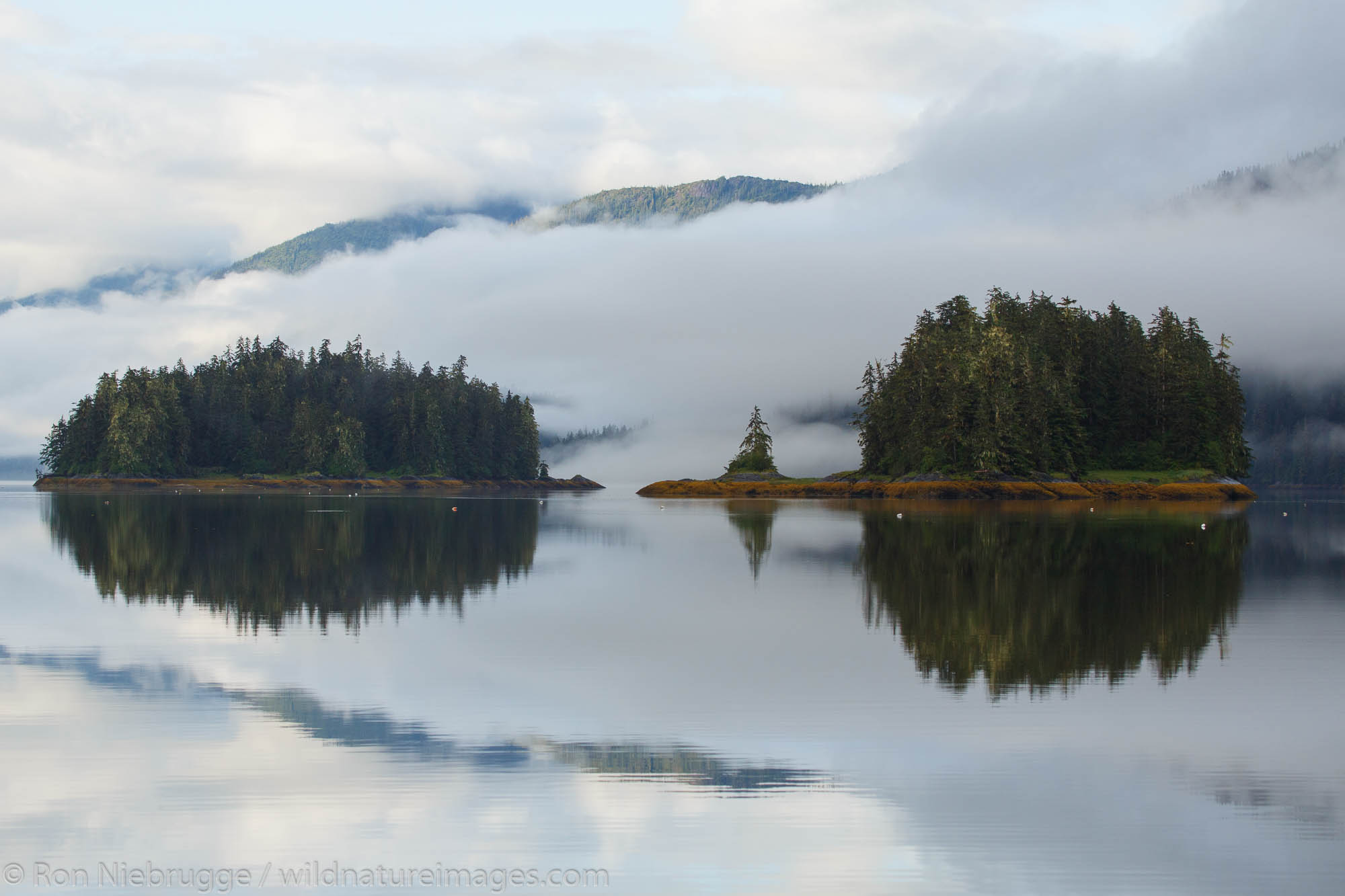 Berg Bay, Tongass National Forest, Alaska.