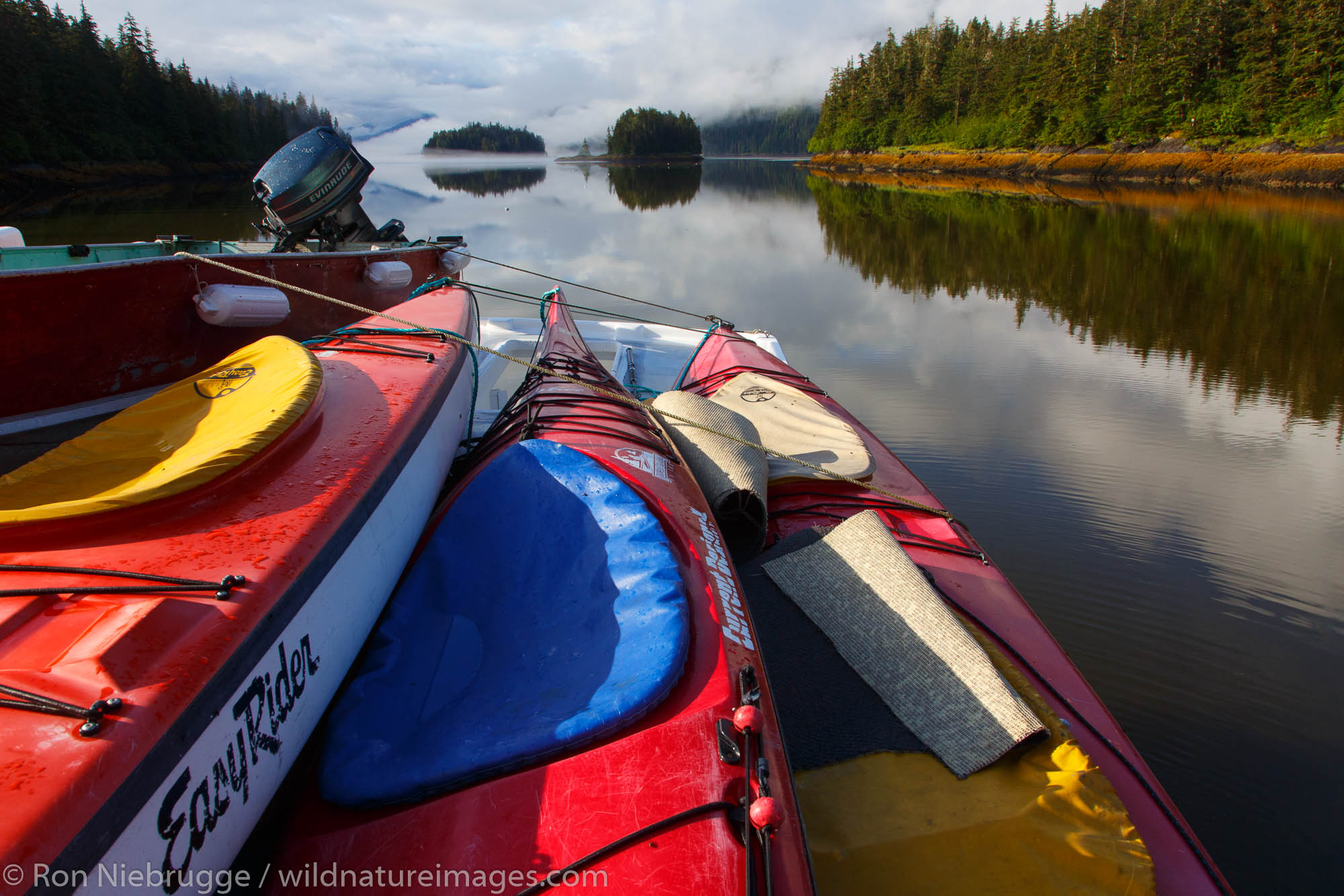 Kayaks in Berg Bay, Tongass National Forest, Alaska.