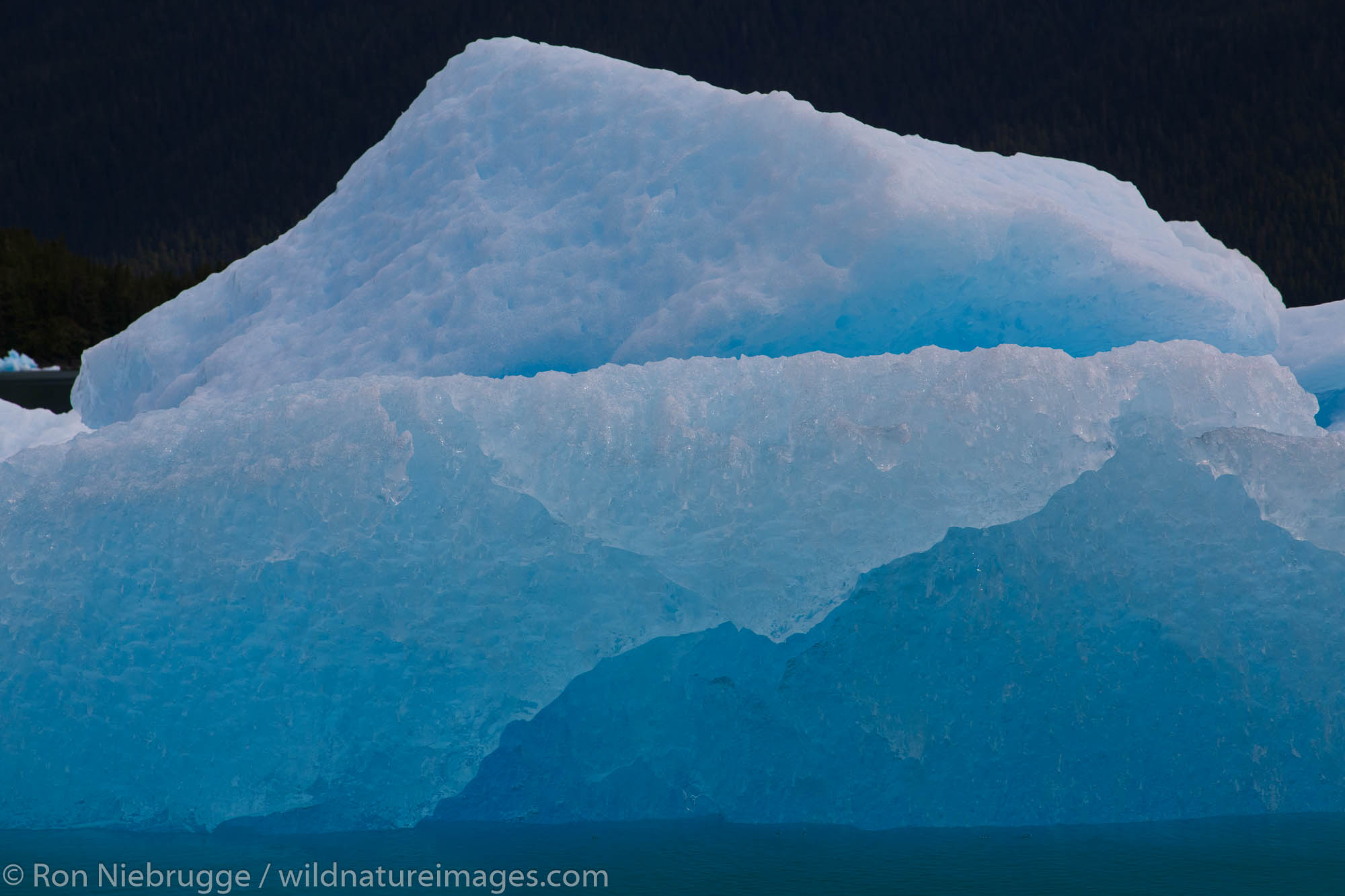 Icebergs in Le Conte Bay, Tongass National Forest, Alaska.