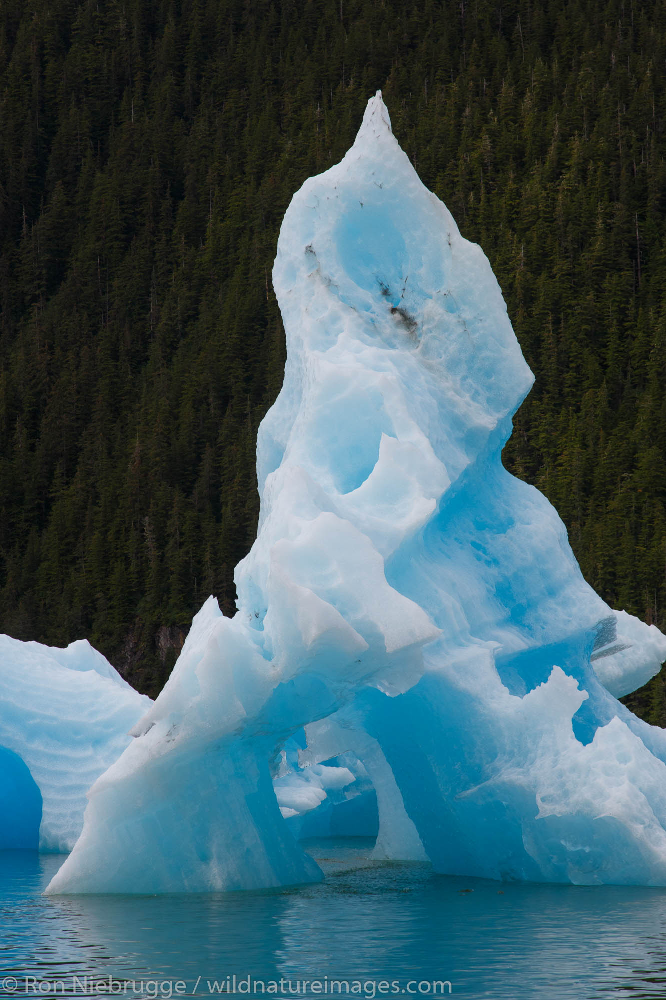 Icebergs in Le Conte Bay, Tongass National Forest, Alaska.