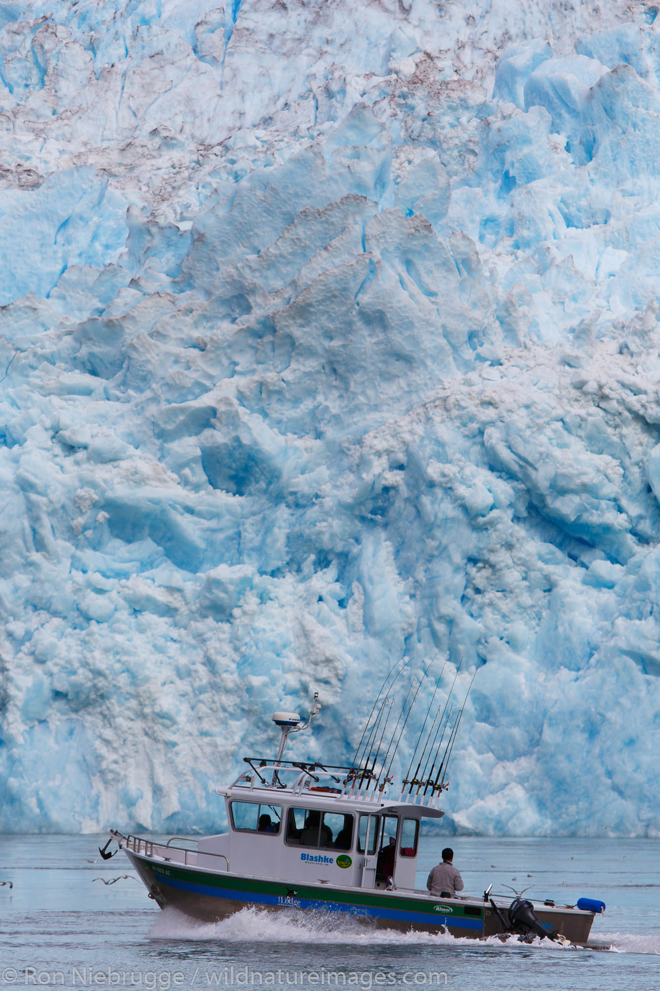 Boat at Le Conte Glacier,Tongass National Forest, Alaska.