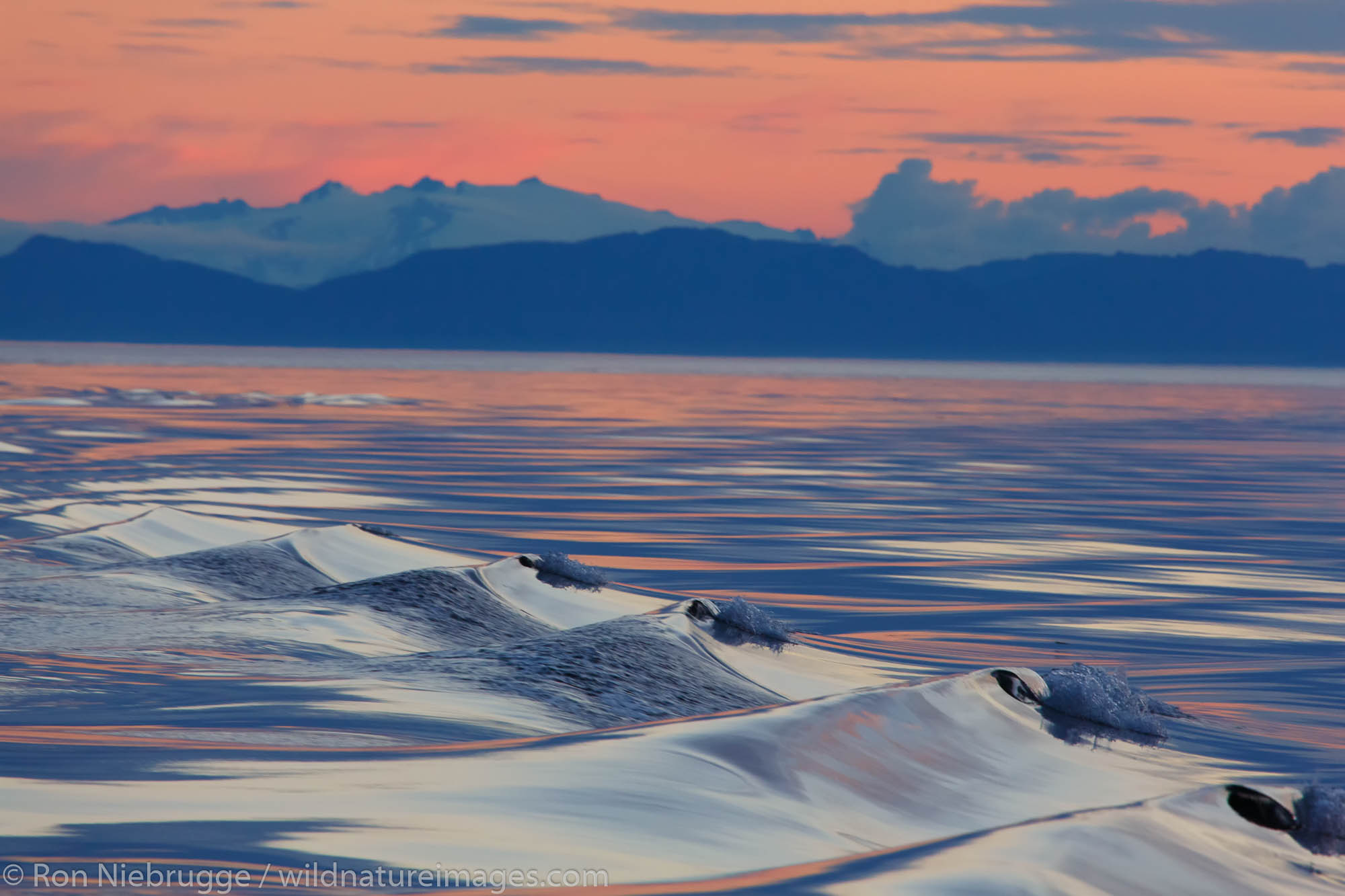 Sunset, Cape Fanshaw, Tongass National Forest, Alaska.