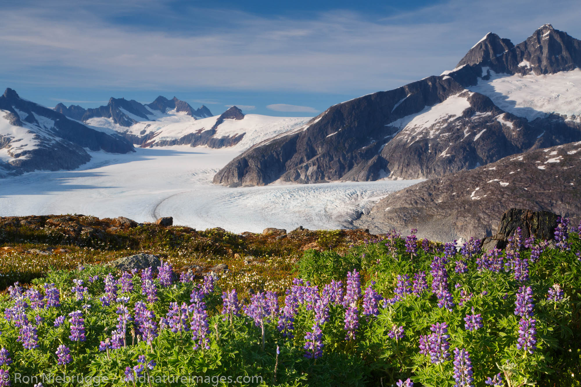 From Mount Stroller White above the Mendenhall Glacier, Tongass National Forest, Alaska.