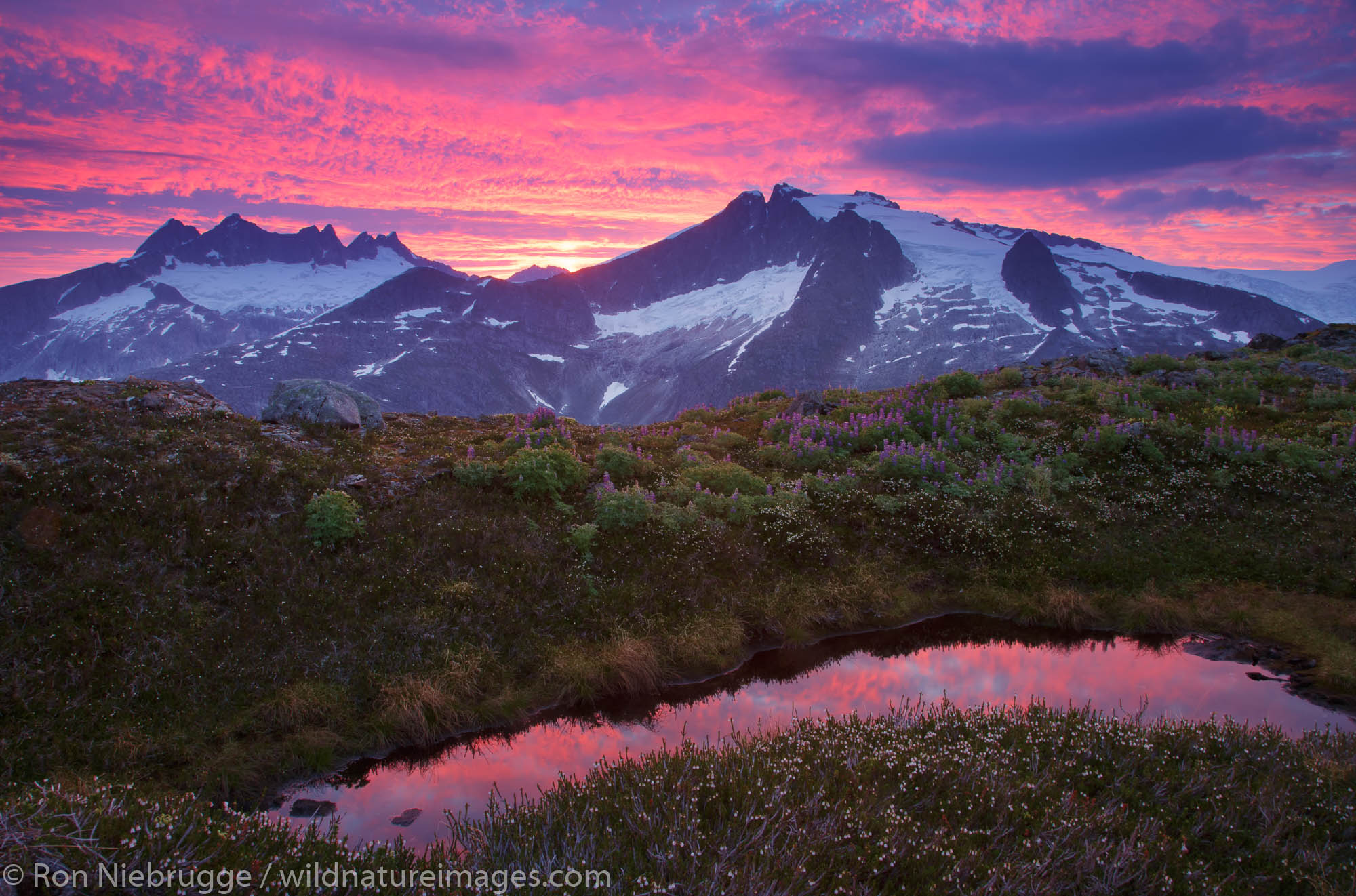 Sunrise From Mount Stroller White above the Mendenhall Glacier, Tongass National Forest, Alaska.