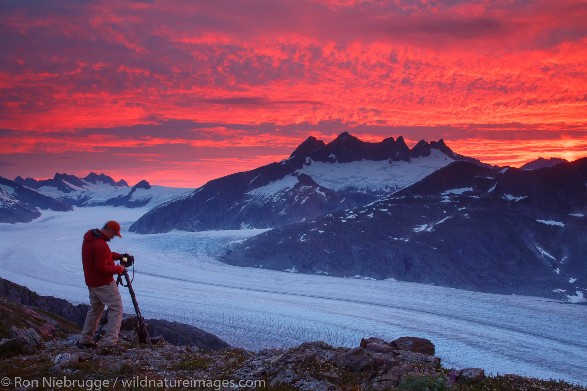 Photographer capturing the sunrise From Mount Stroller White above the Mendenhall Glacier, Tongass National Forest, Alaska.