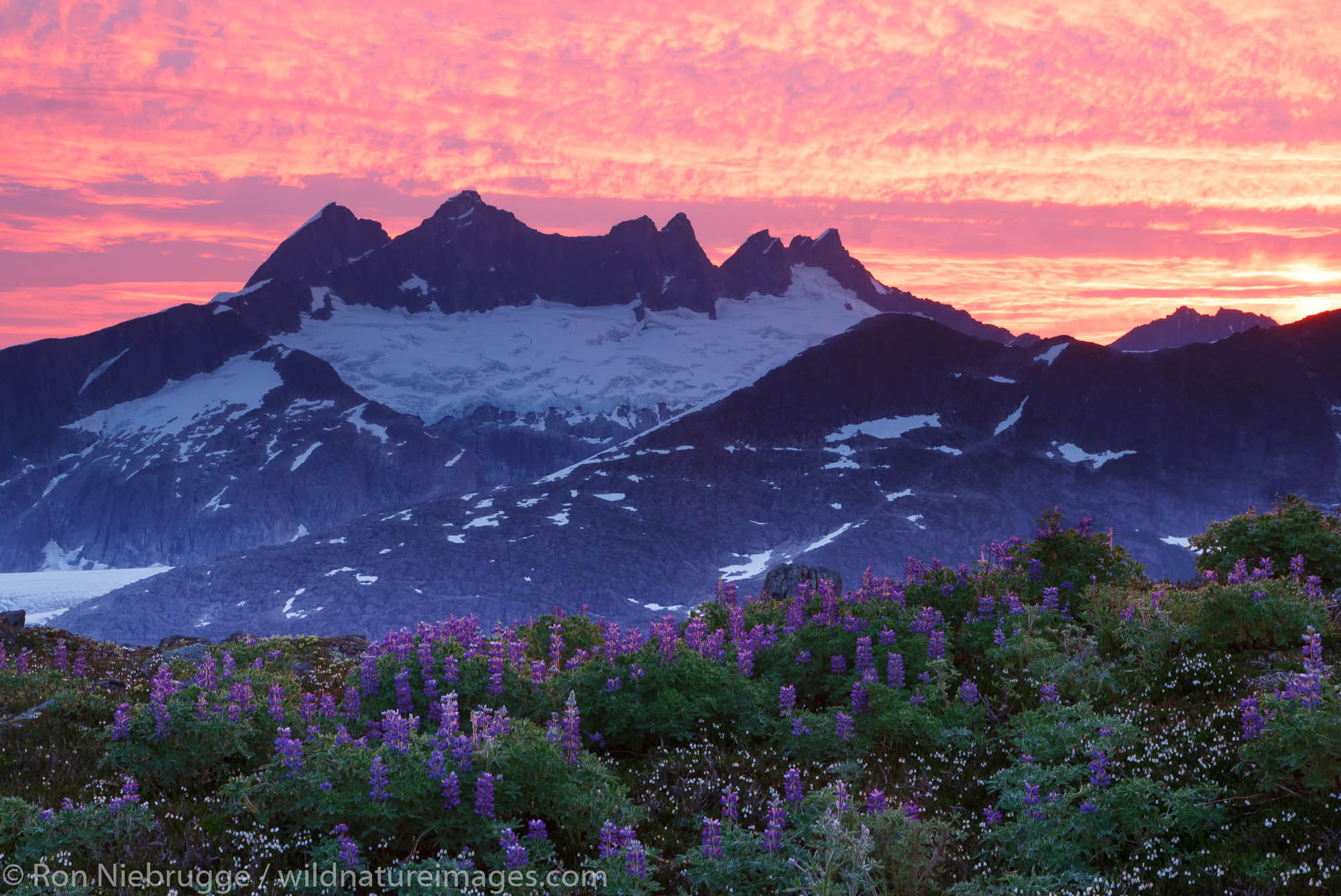 Sunrise From Mount Stroller White above the Mendenhall Glacier, Tongass National Forest, Alaska.