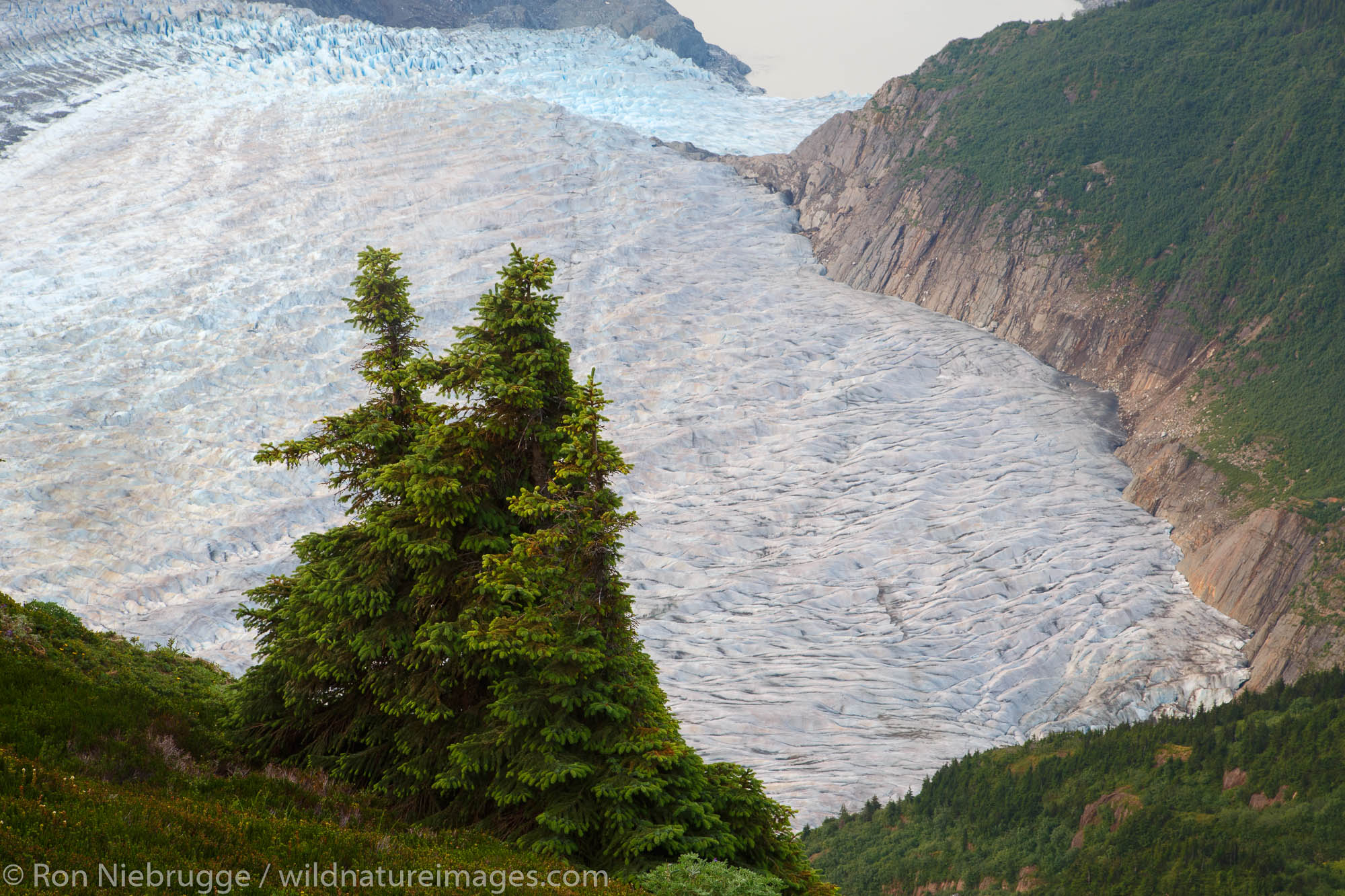 From Mount Stroller White above the Mendenhall Glacier, Tongass National Forest, Alaska