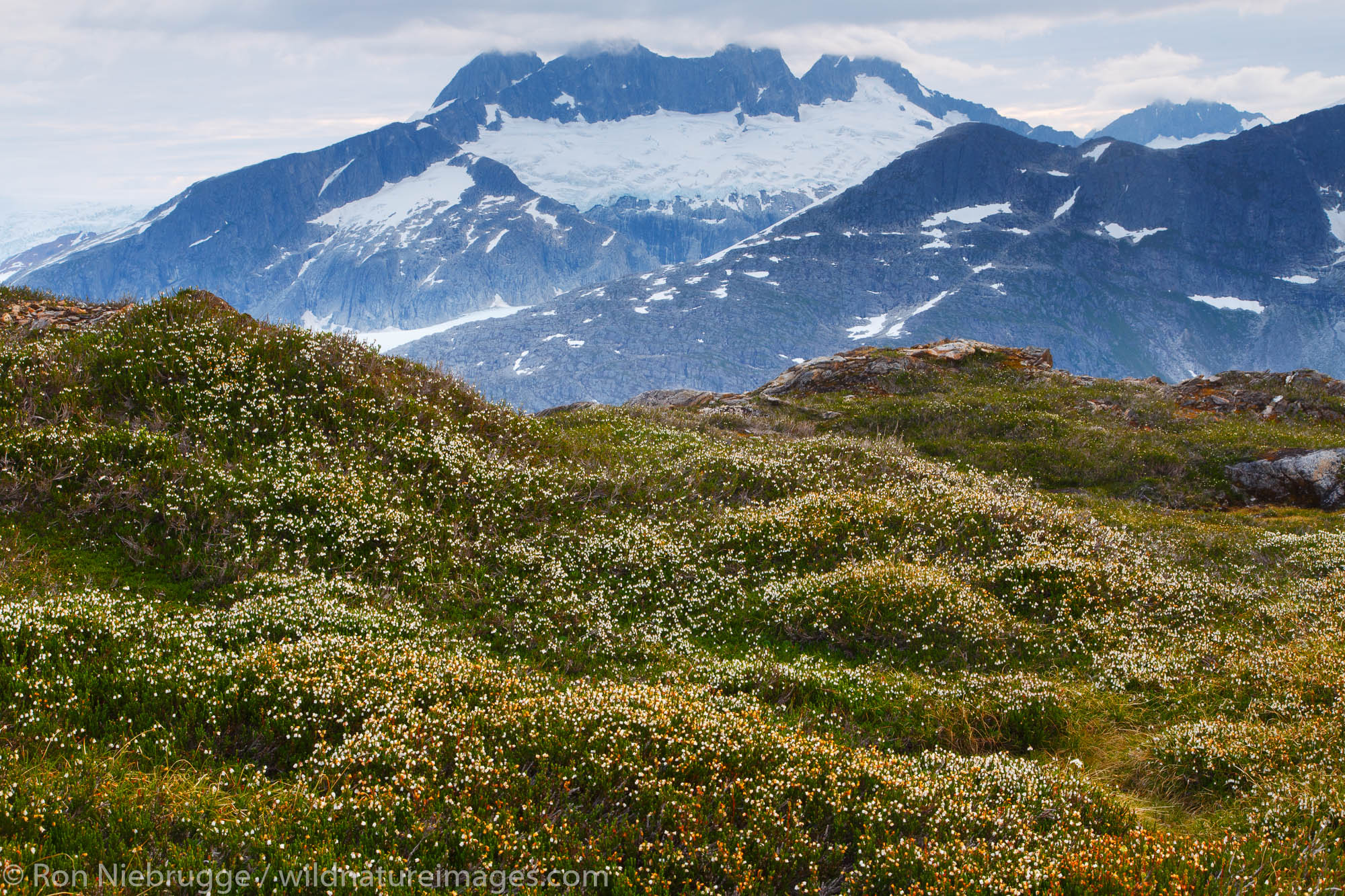 From Mount Stroller White above the Mendenhall Glacier, Tongass National Forest, Alaska