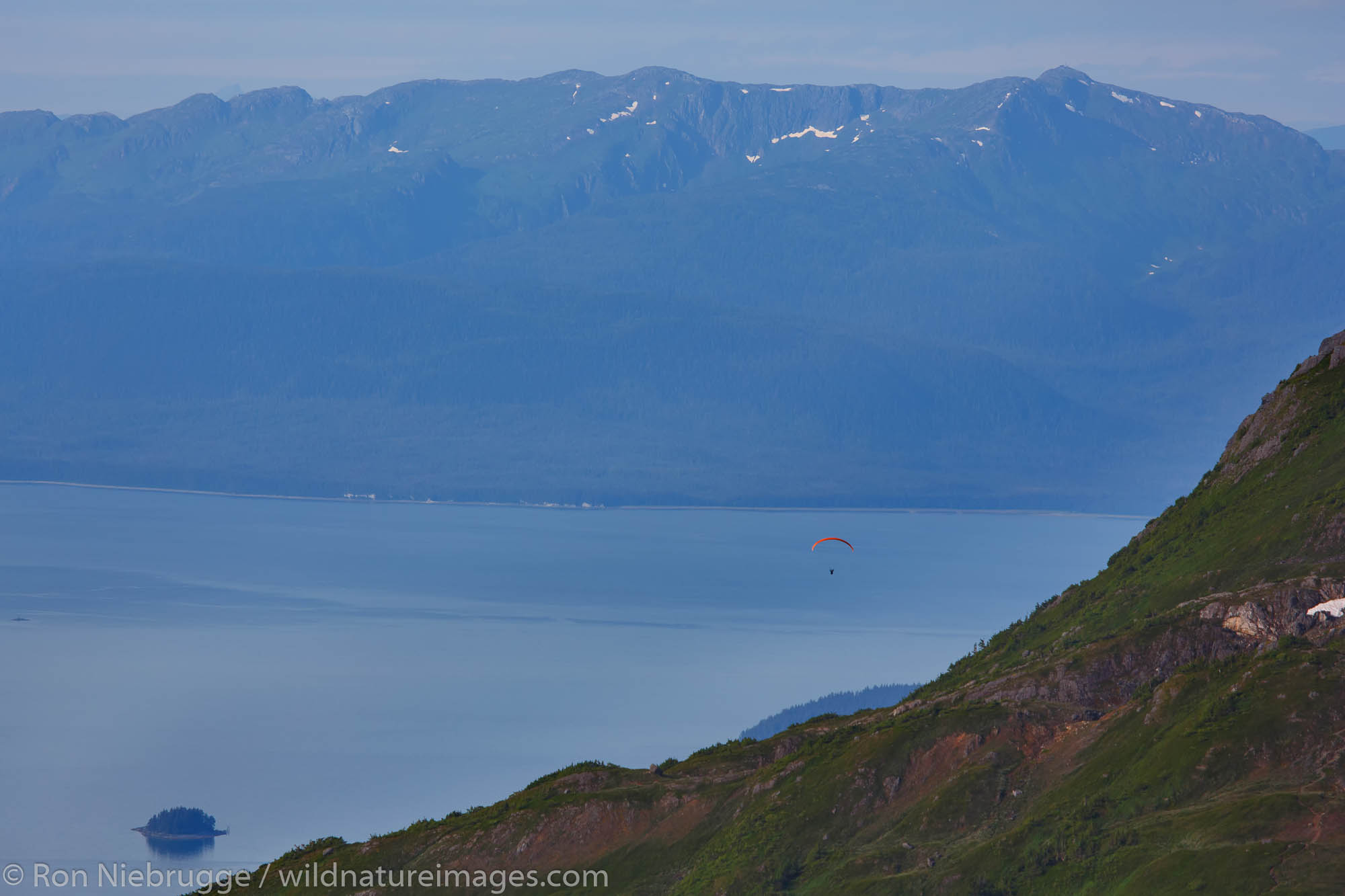 Paraglider viewed from Mount Stroller White above the Mendenhall Glacier, Tongass National Forest, Alaska.