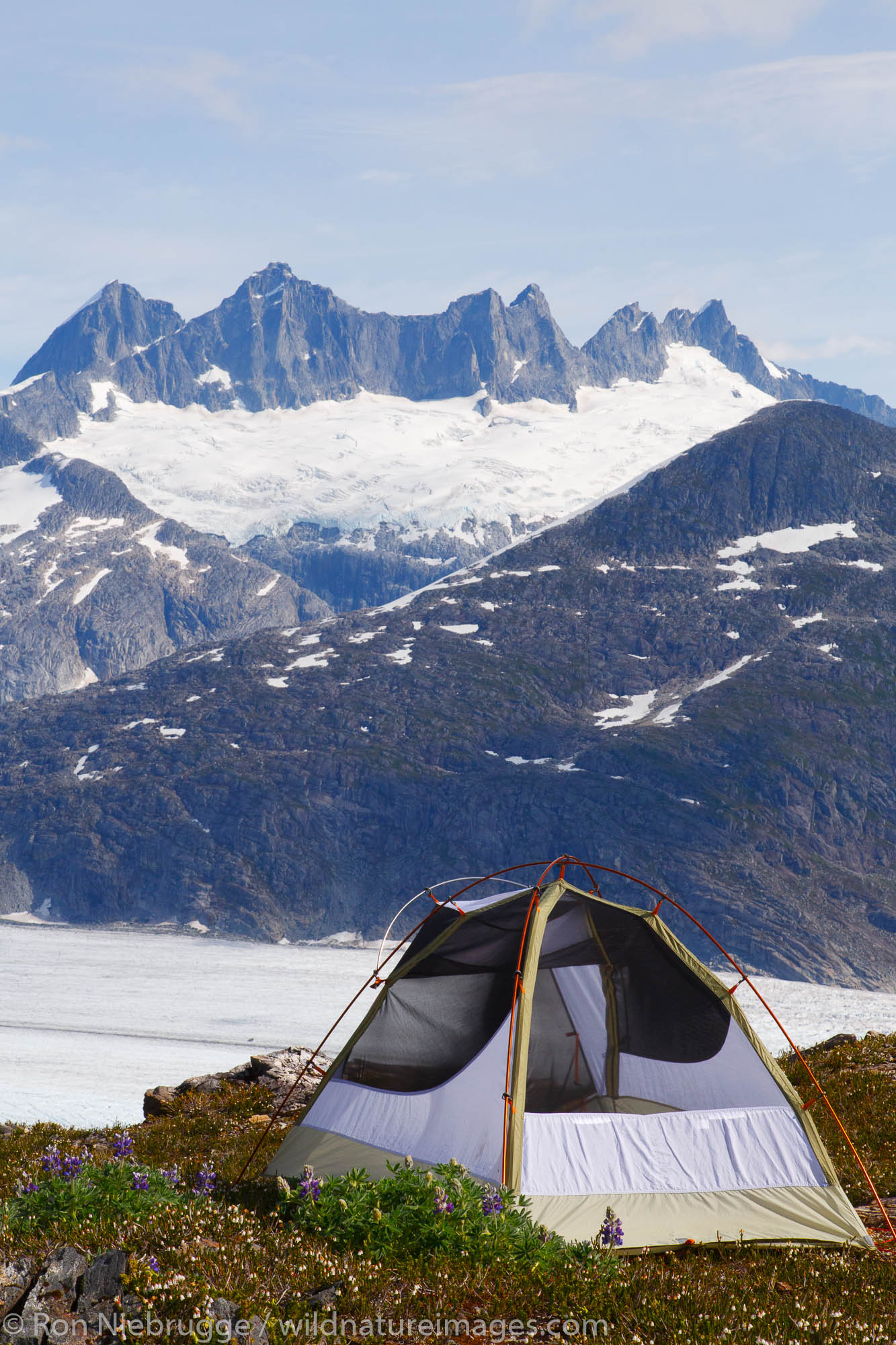 Camping on Mount Stroller White above the Mendenhall Glacier, Tongass National Forest, Alaska.