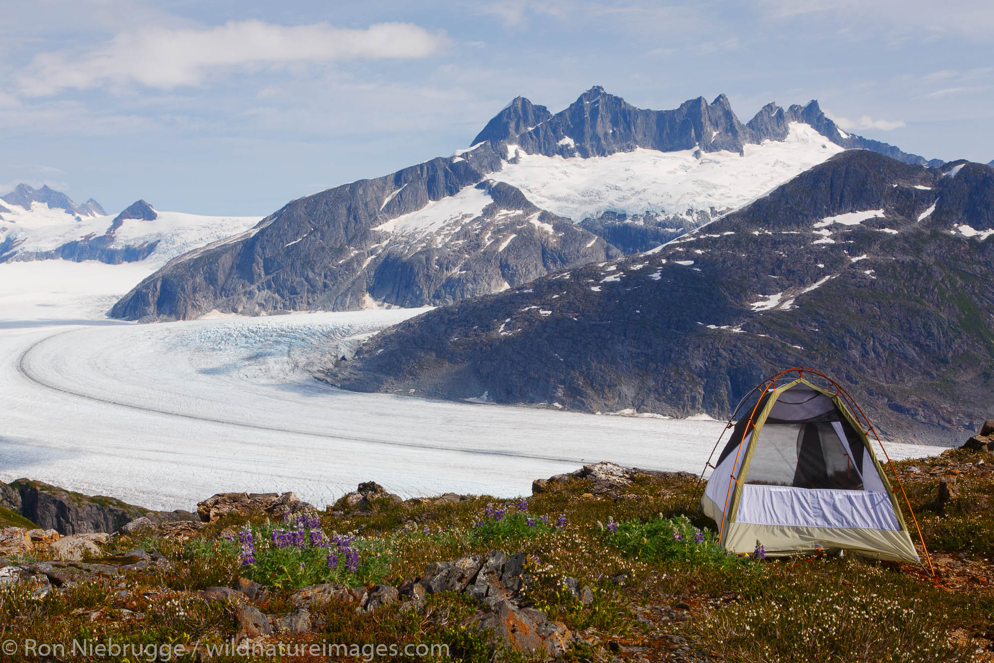 Camping on Mount Stroller White above the Mendenhall Glacier, Tongass National Forest, Alaska.