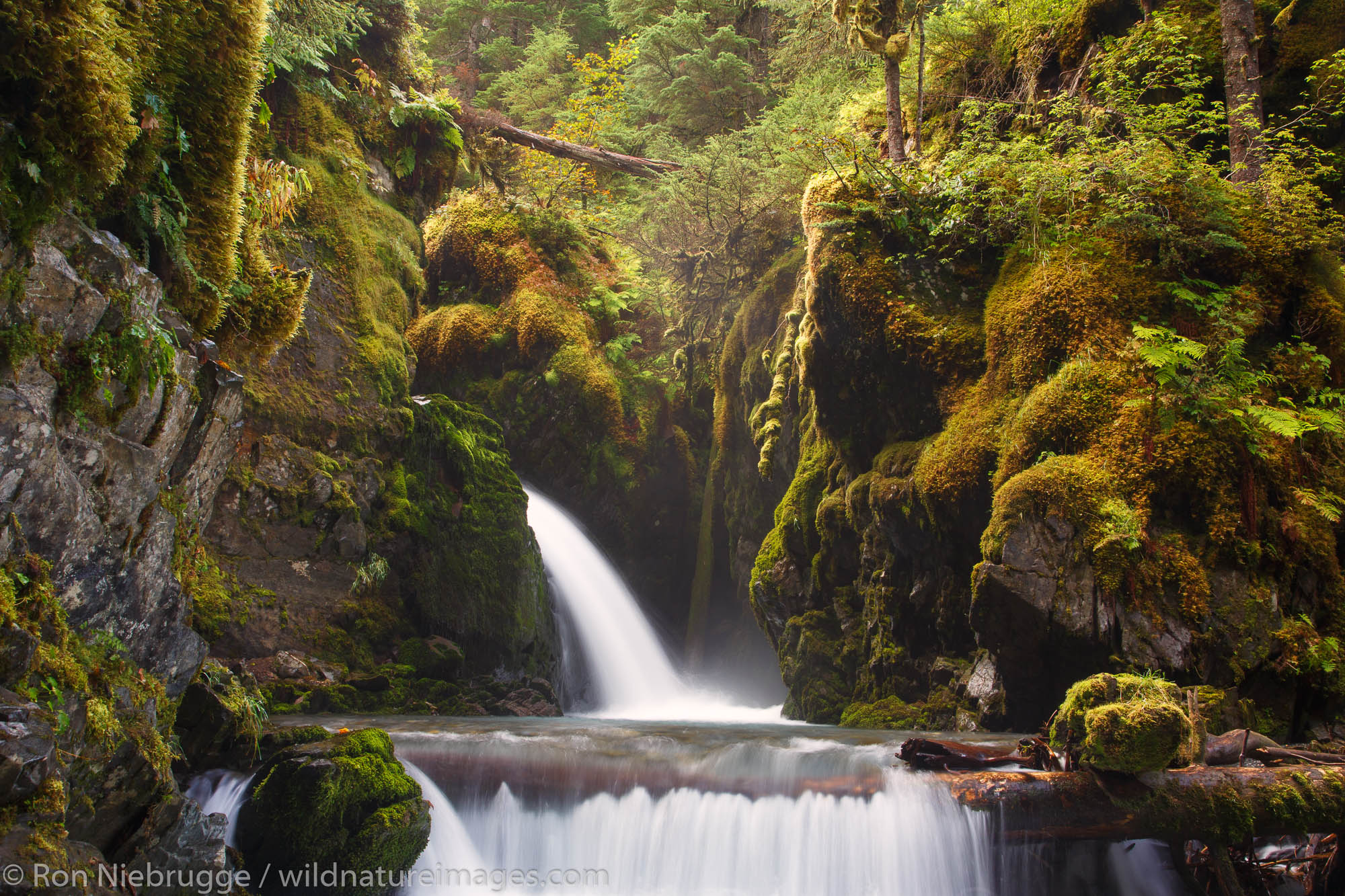 Waterfall in the rainforest, Chugach National Forest, Girdwood, Alaska.