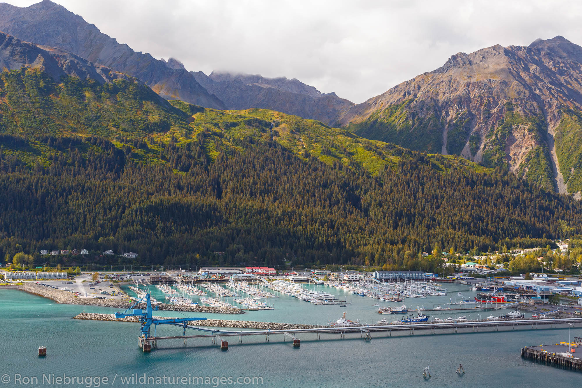 Aerial of Resurrection Bay, Seward, Alaska.