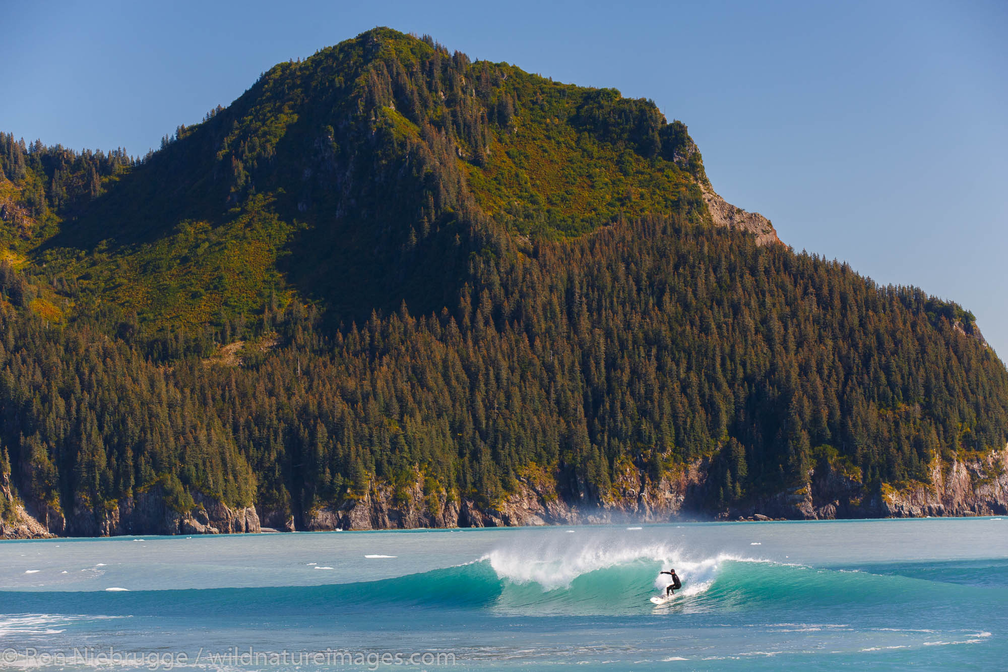 Surfing in front of Bear Glacier Lagoon, Kenai Fjords National Park, near Seward, Alaska.