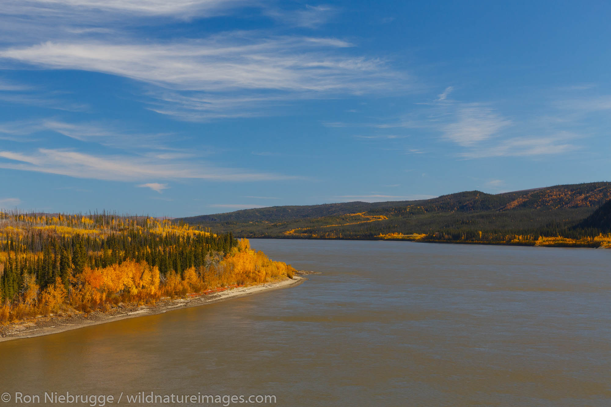 Autumn along the Yukon River from the Dalton Highway bridge Alaska.