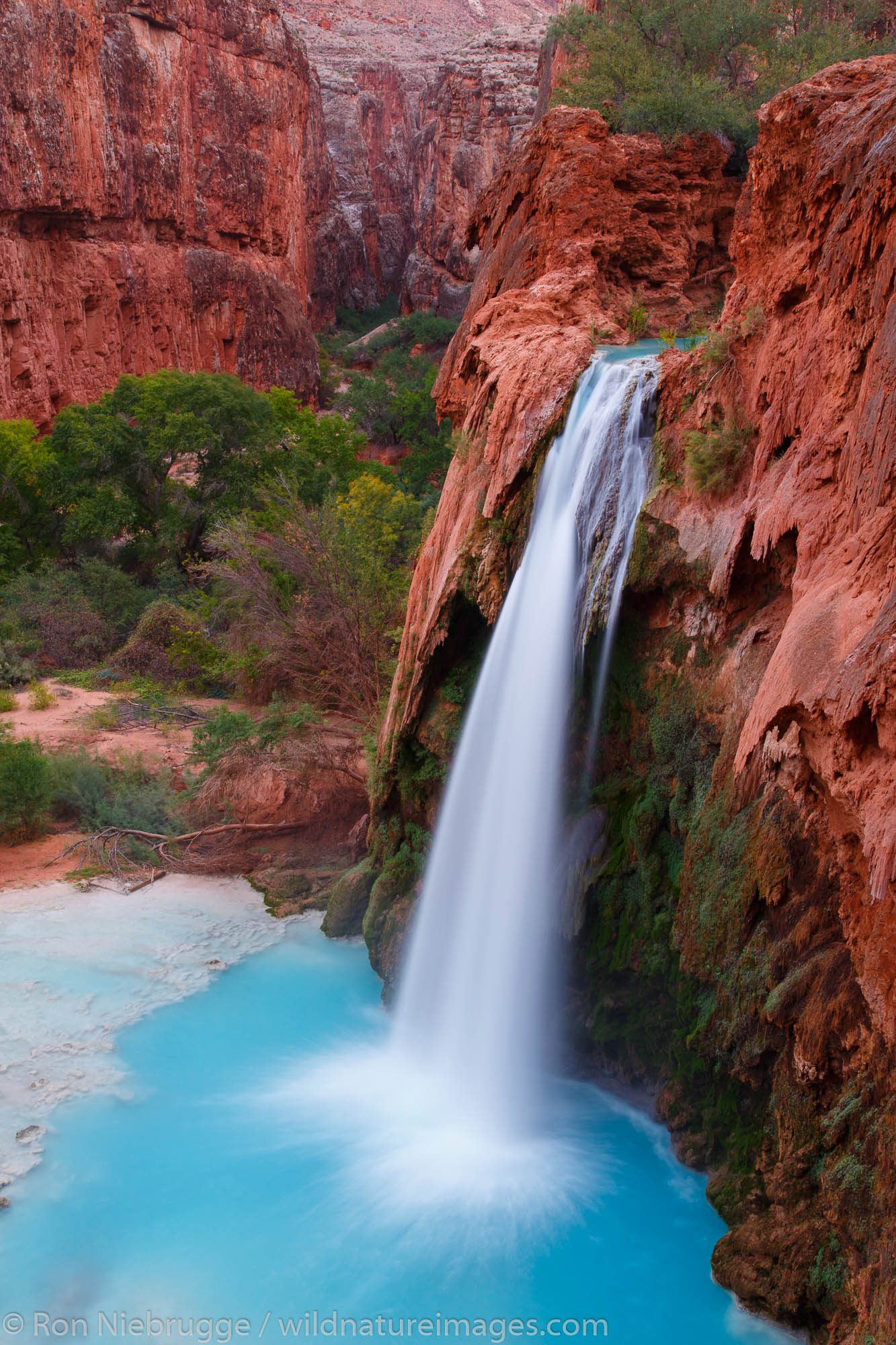 Havasu Falls, Havasupai Indian Reservation, Grand Canyon, Arizona.