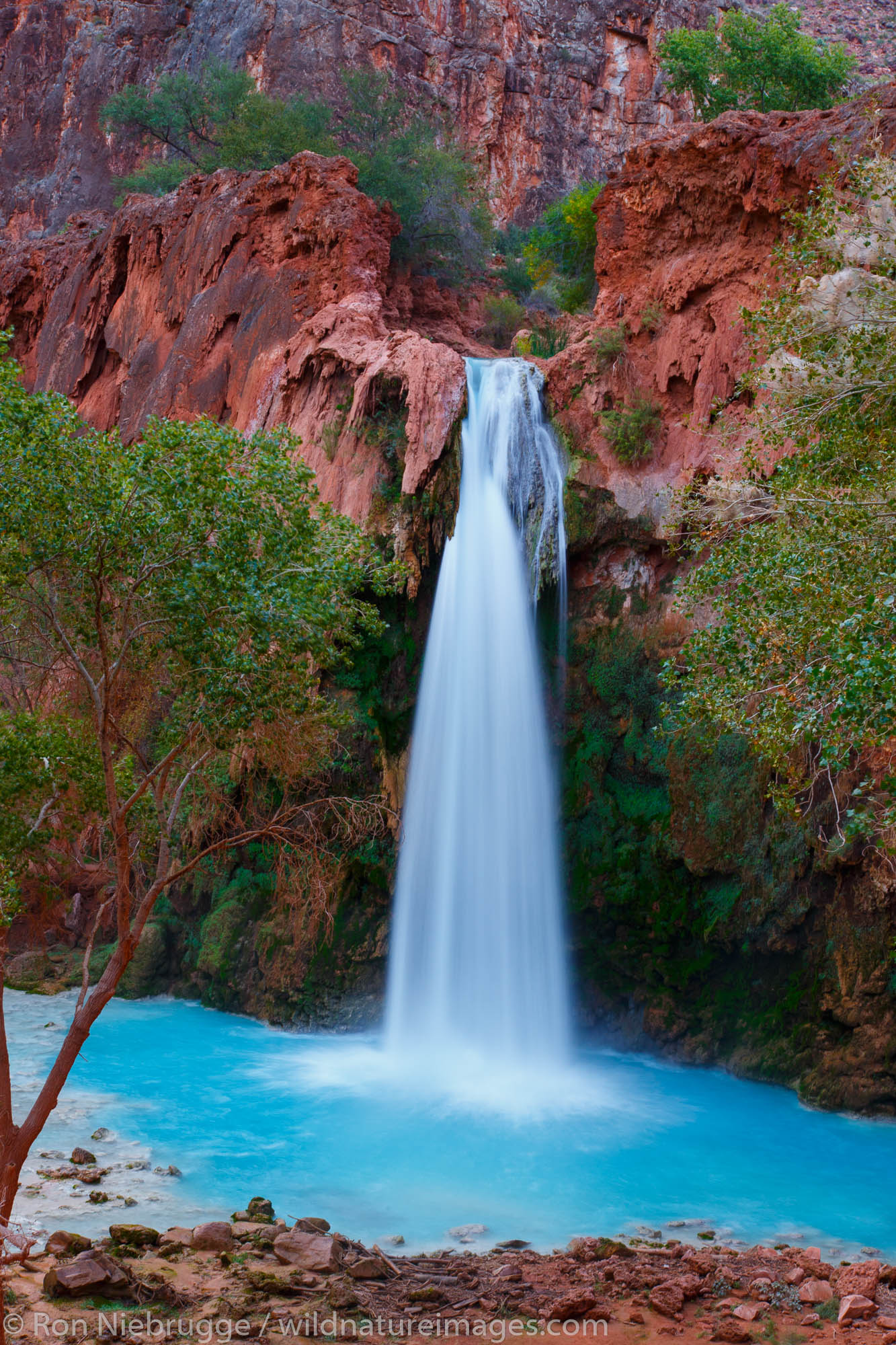 Havasu Falls, Havasupai Indian Reservation, Grand Canyon, Arizona.