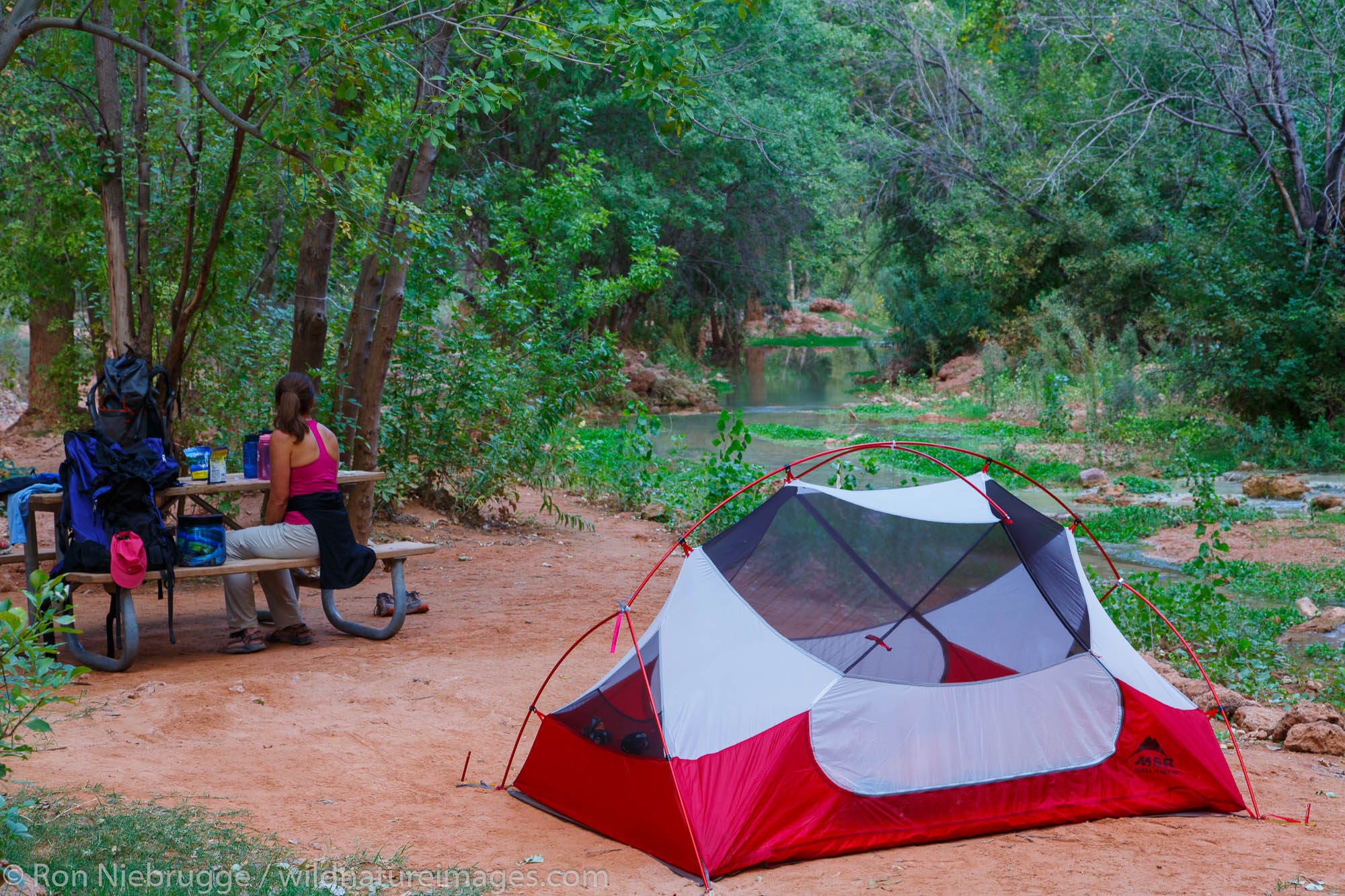 Campground at the base of Havasu Falls, Havasupai Indian Reservation, Grand Canyon, Arizona.