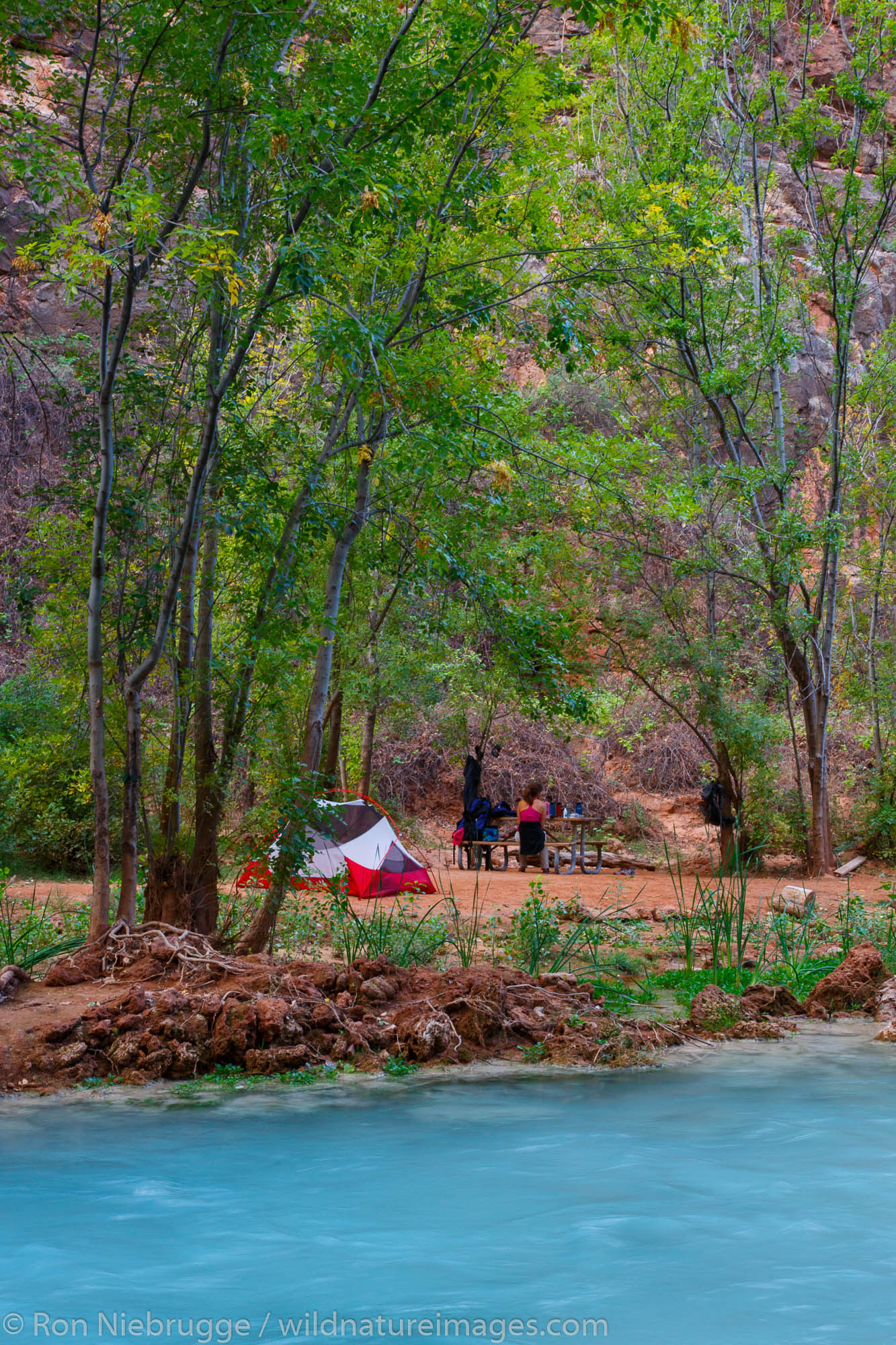 Campground at the base of Havasu Falls, Havasupai Indian Reservation, Grand Canyon, Arizona.