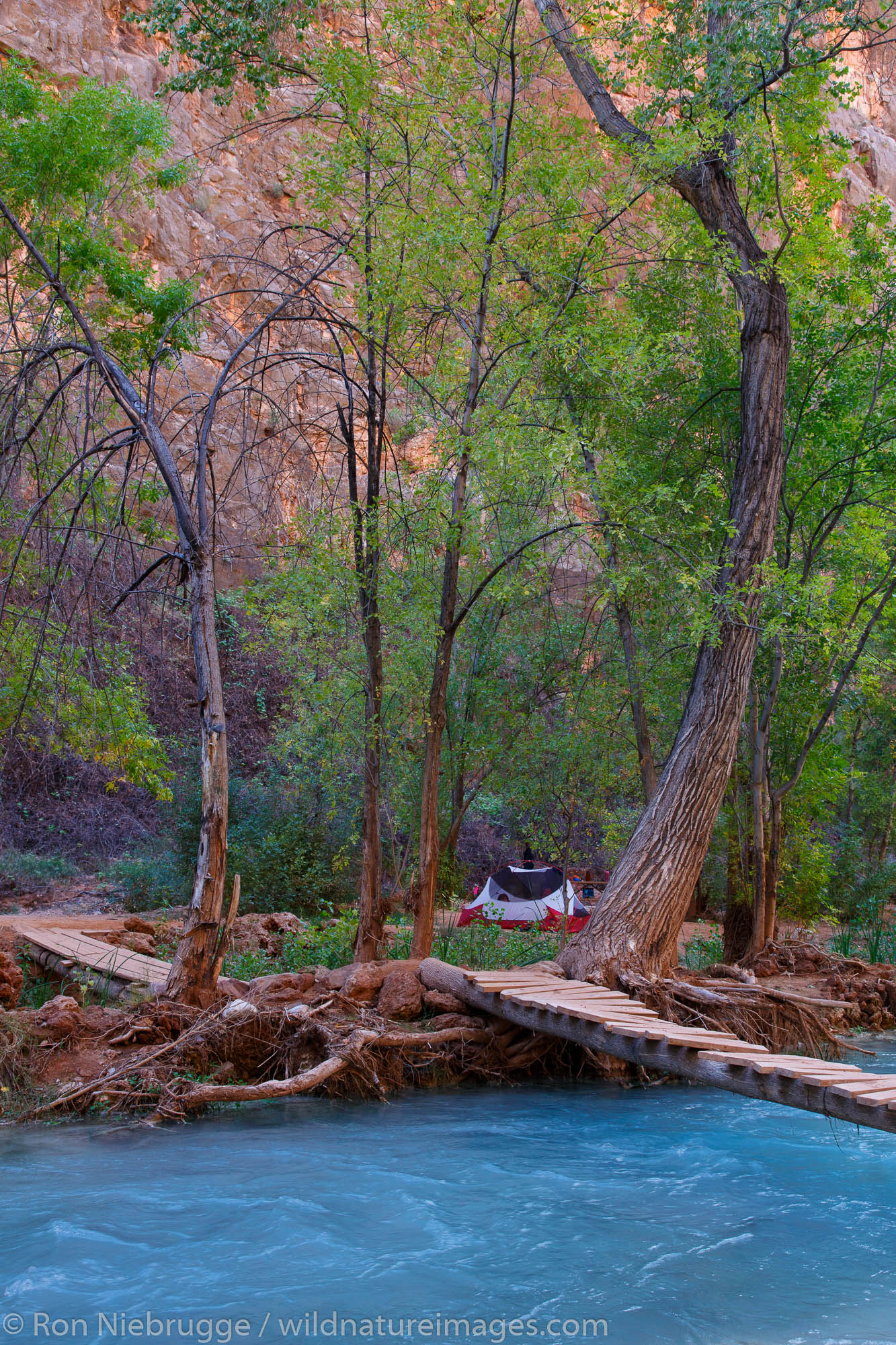 Campground at the base of Havasu Falls, Havasupai Indian Reservation, Grand Canyon, Arizona.