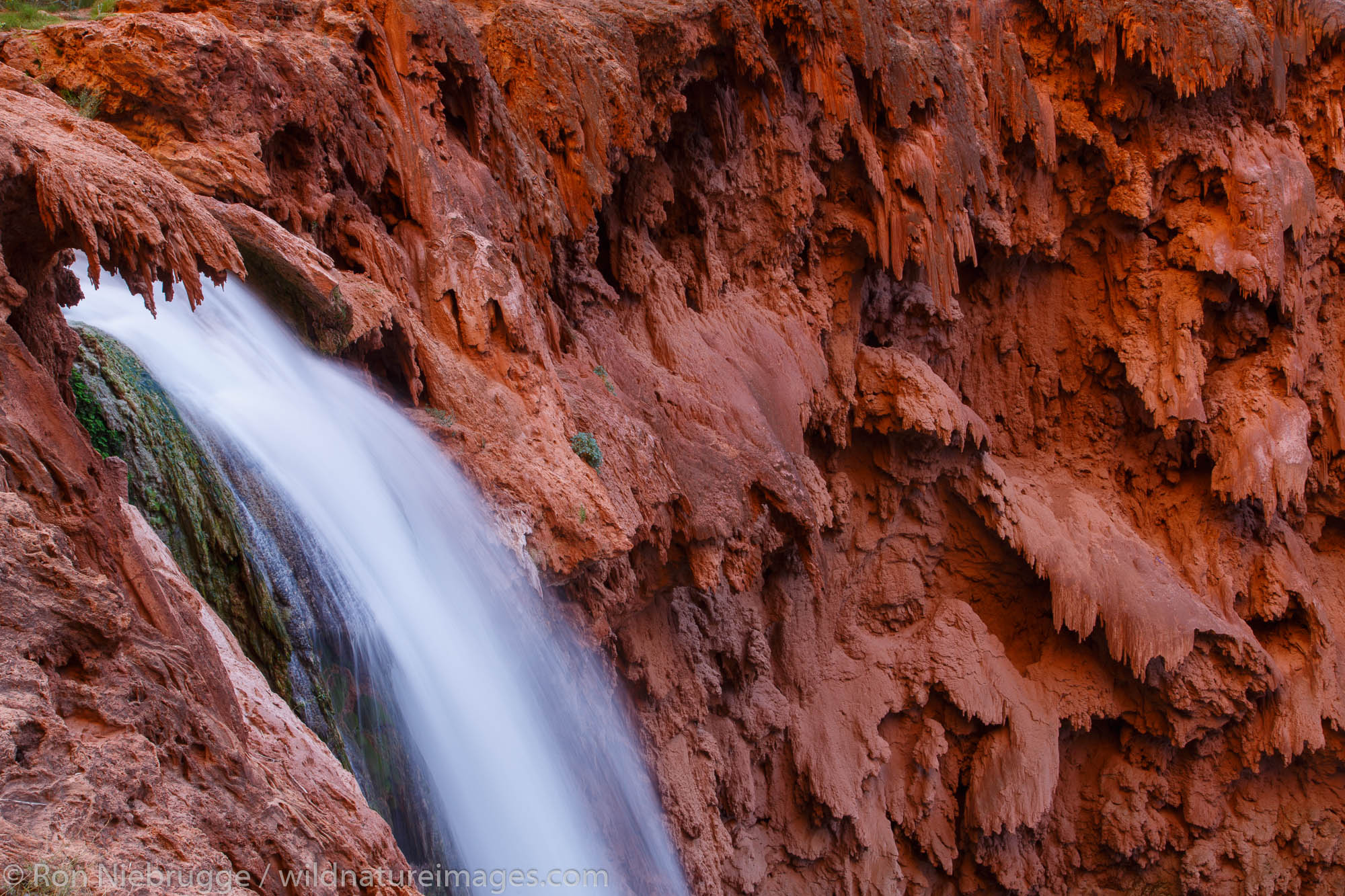 Havasu Falls, Havasupai Indian Reservation, Grand Canyon, Arizona.