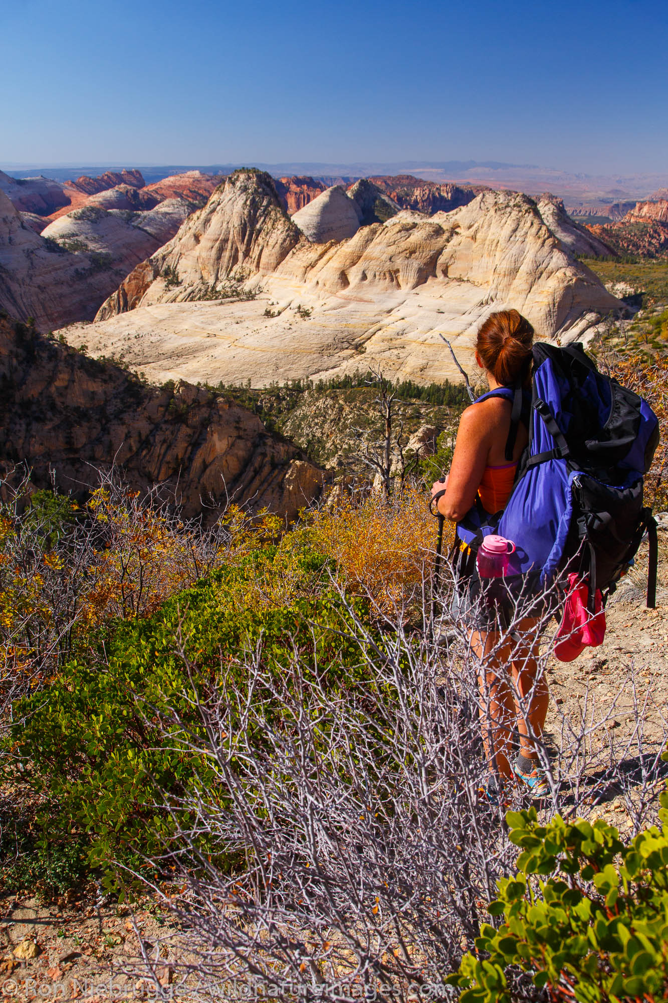 Backpacking on the West Rim Trail, Zion National Park, Utah.