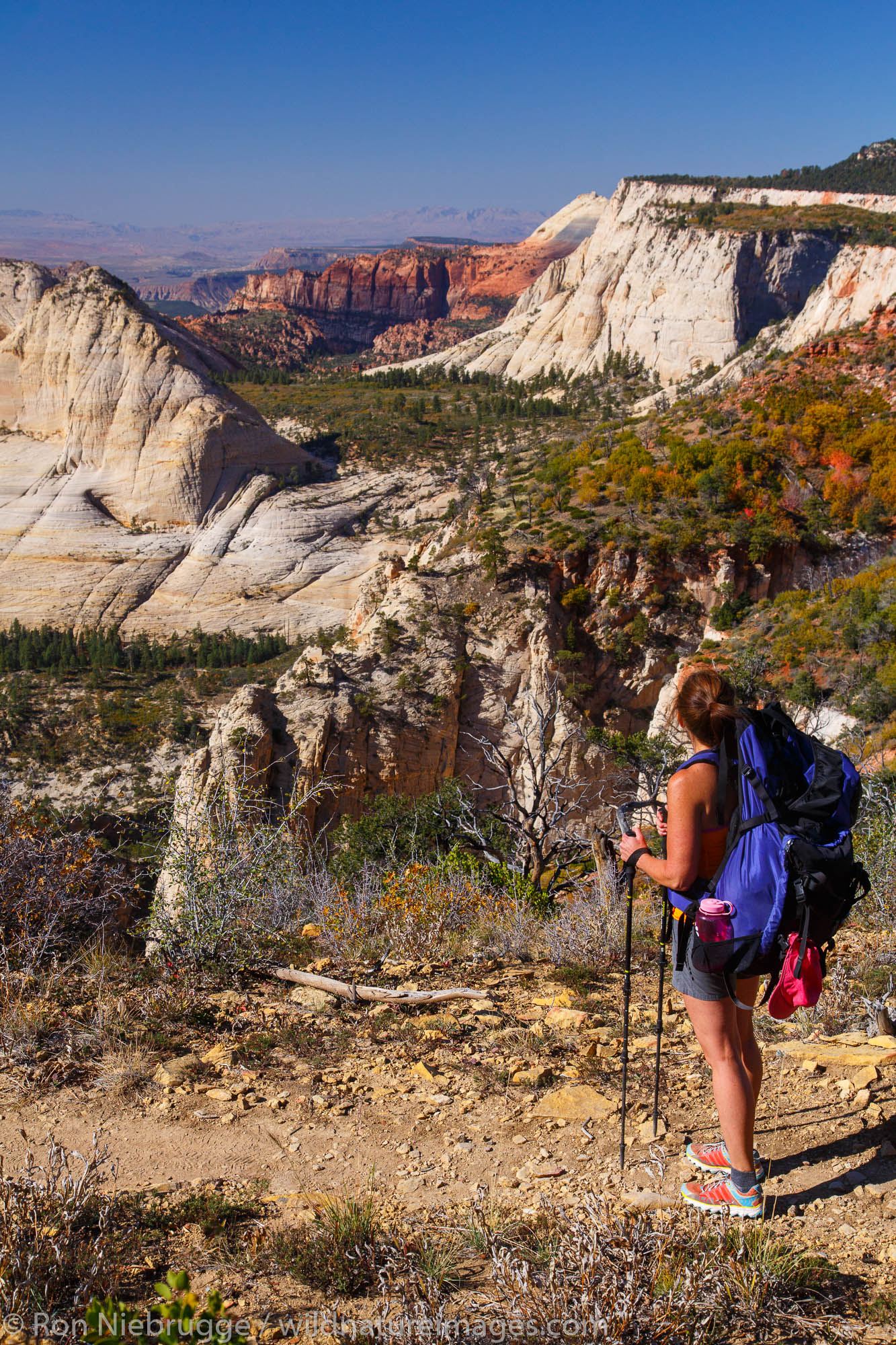 Backpacking on the West Rim Trail, Zion National Park, Utah.