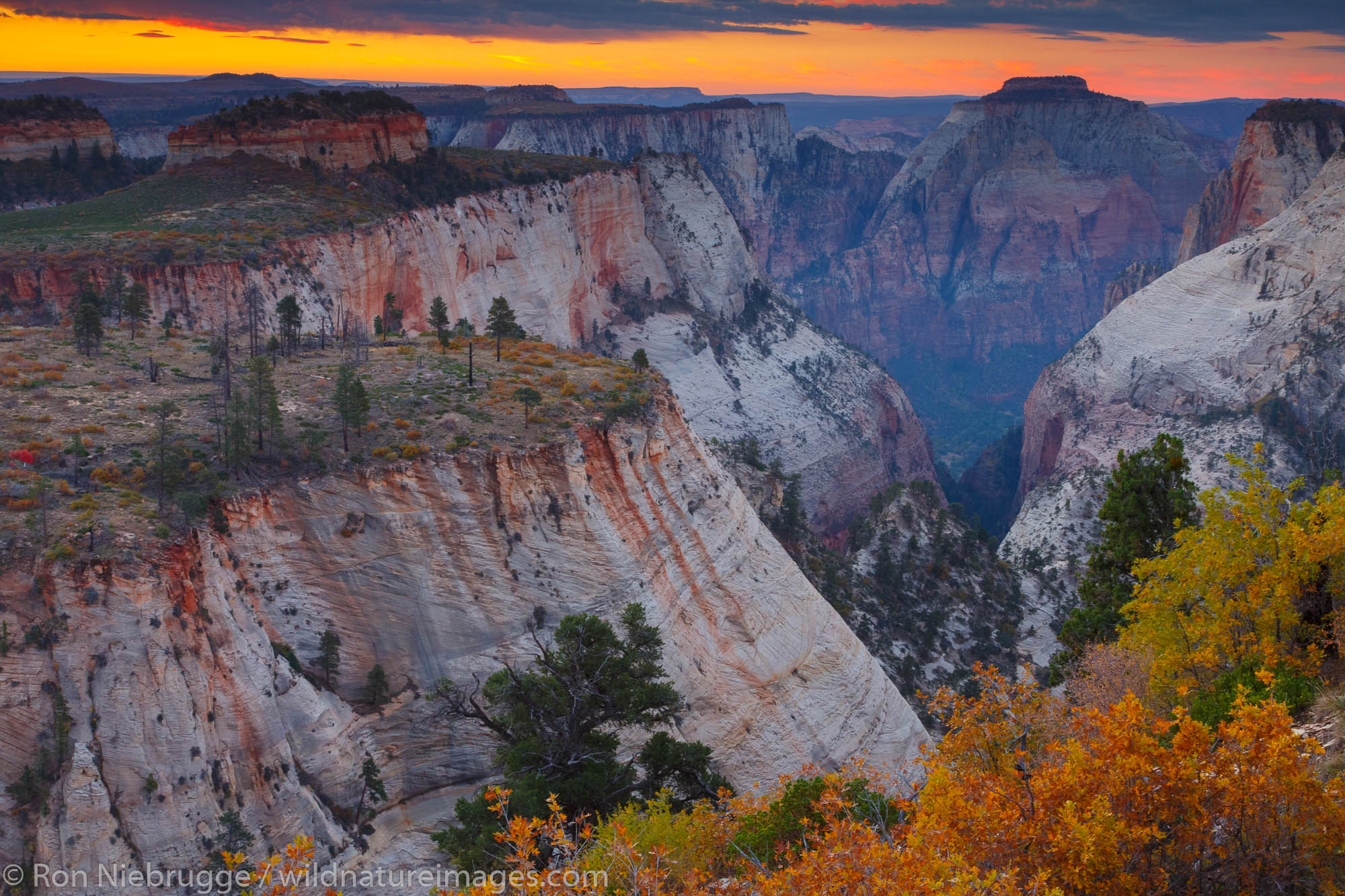 Behunin Canyon from the West Rim Trail, Zion National Park, Utah.