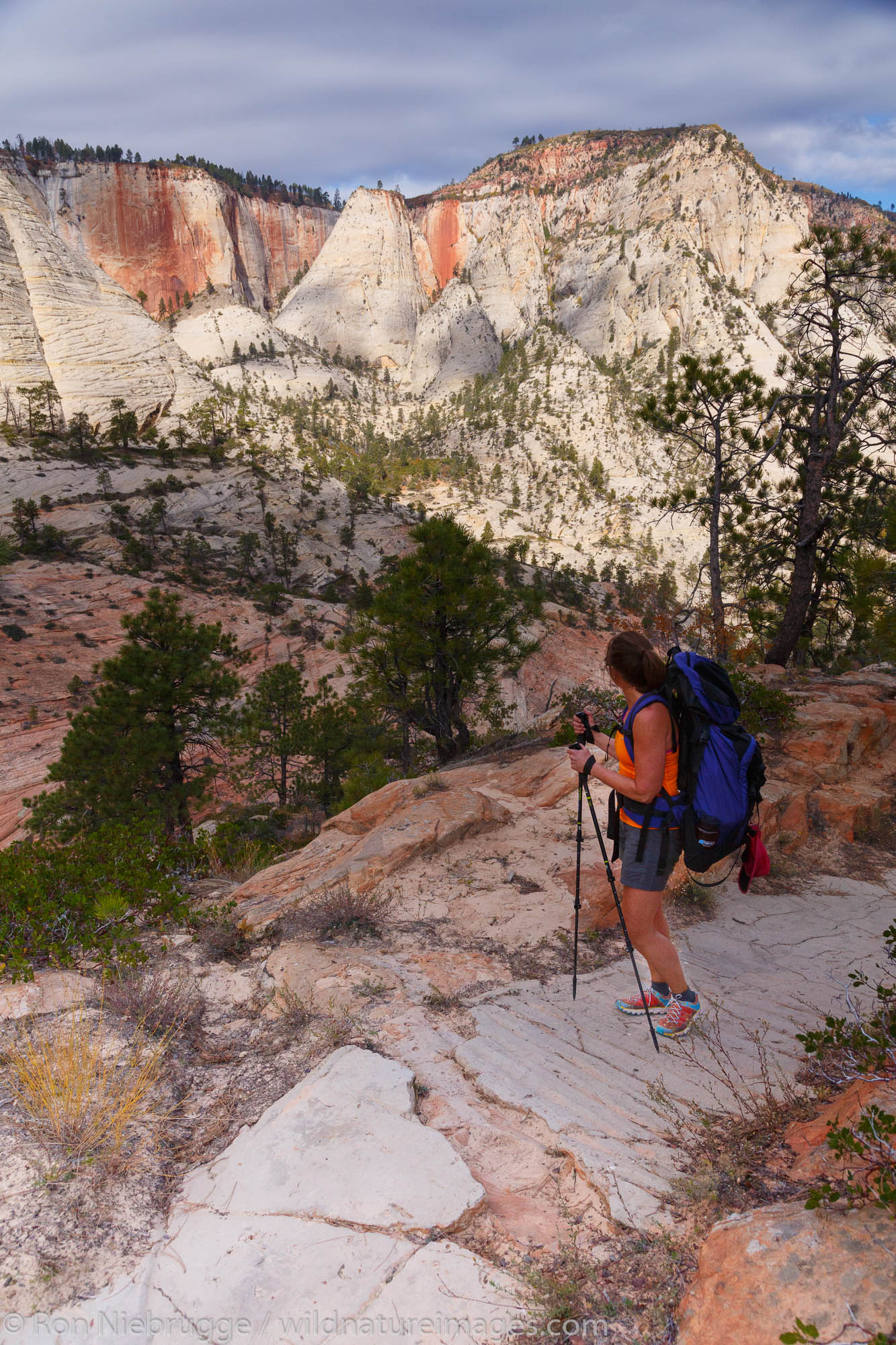 Backpacking the West Rim Trail, Zion National Park, Utah.  (model released)