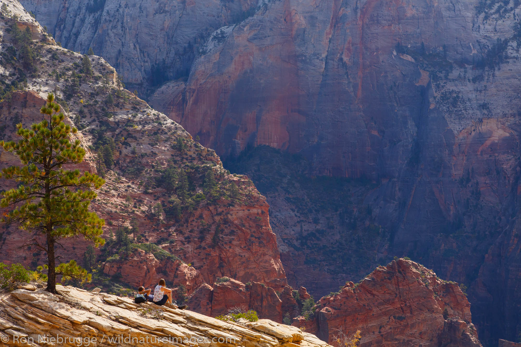 From the West Rim Trail, Zion National Park, Utah.
